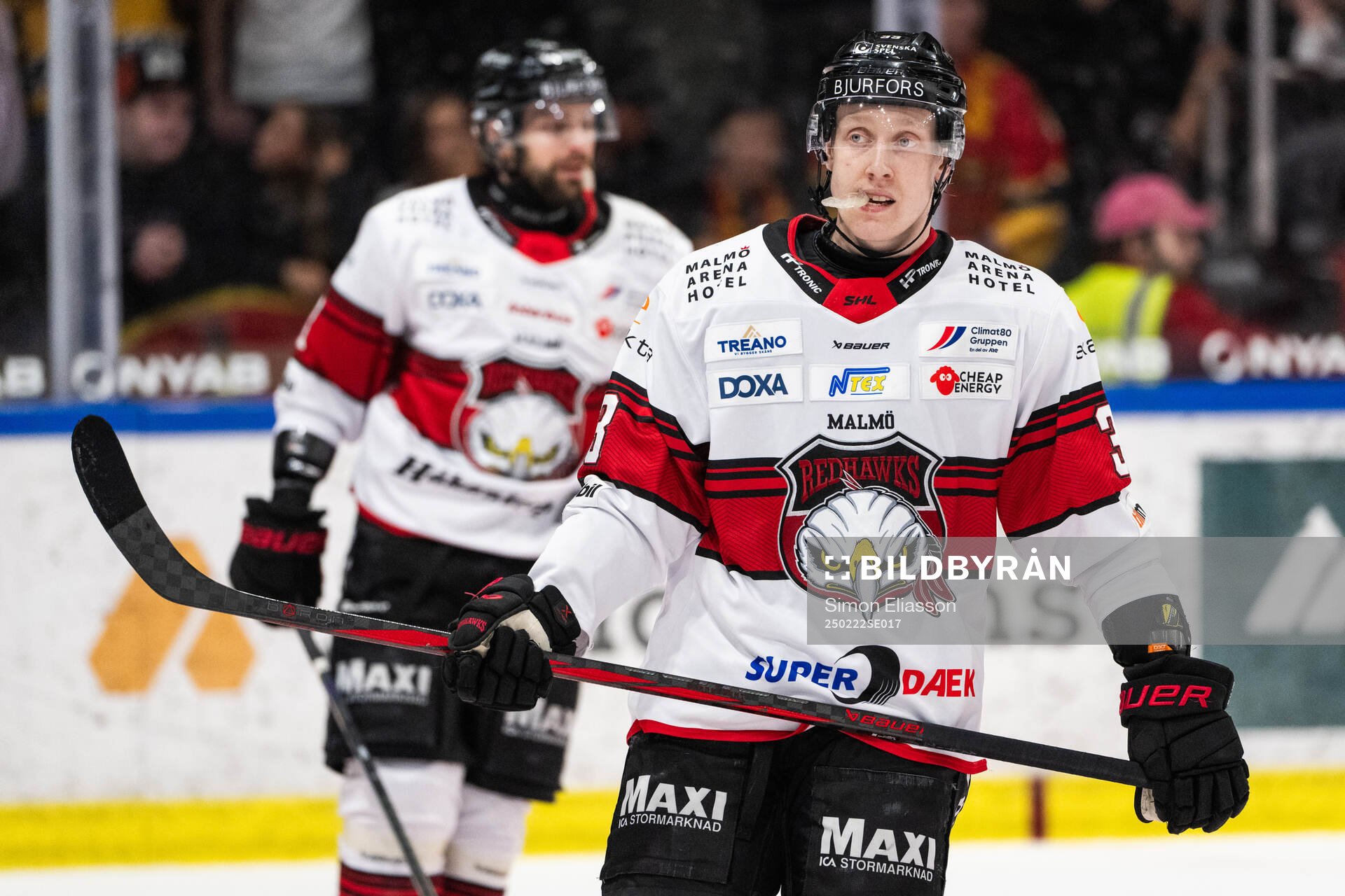 Malmö Redhawks Lassi Thomson