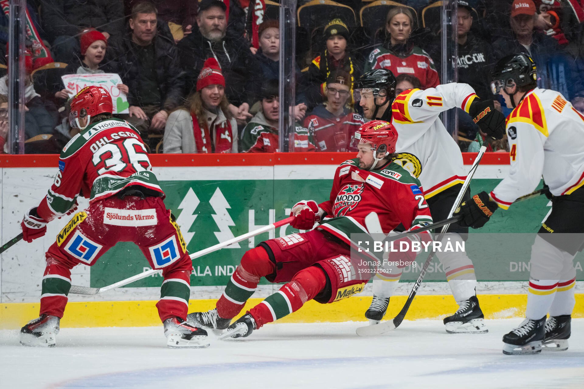 Modos Mattias Norlinder