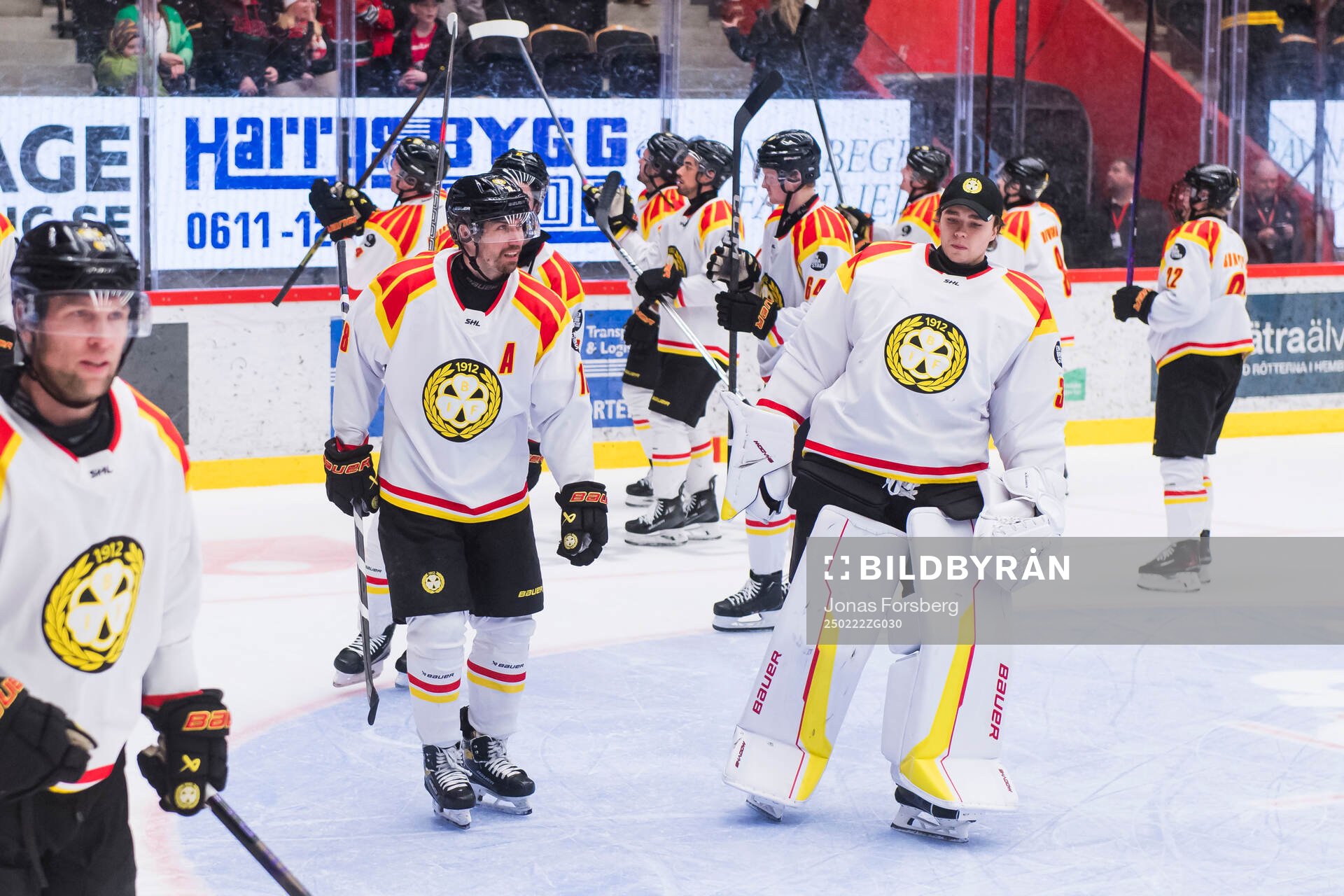Brynäs spelare jublar