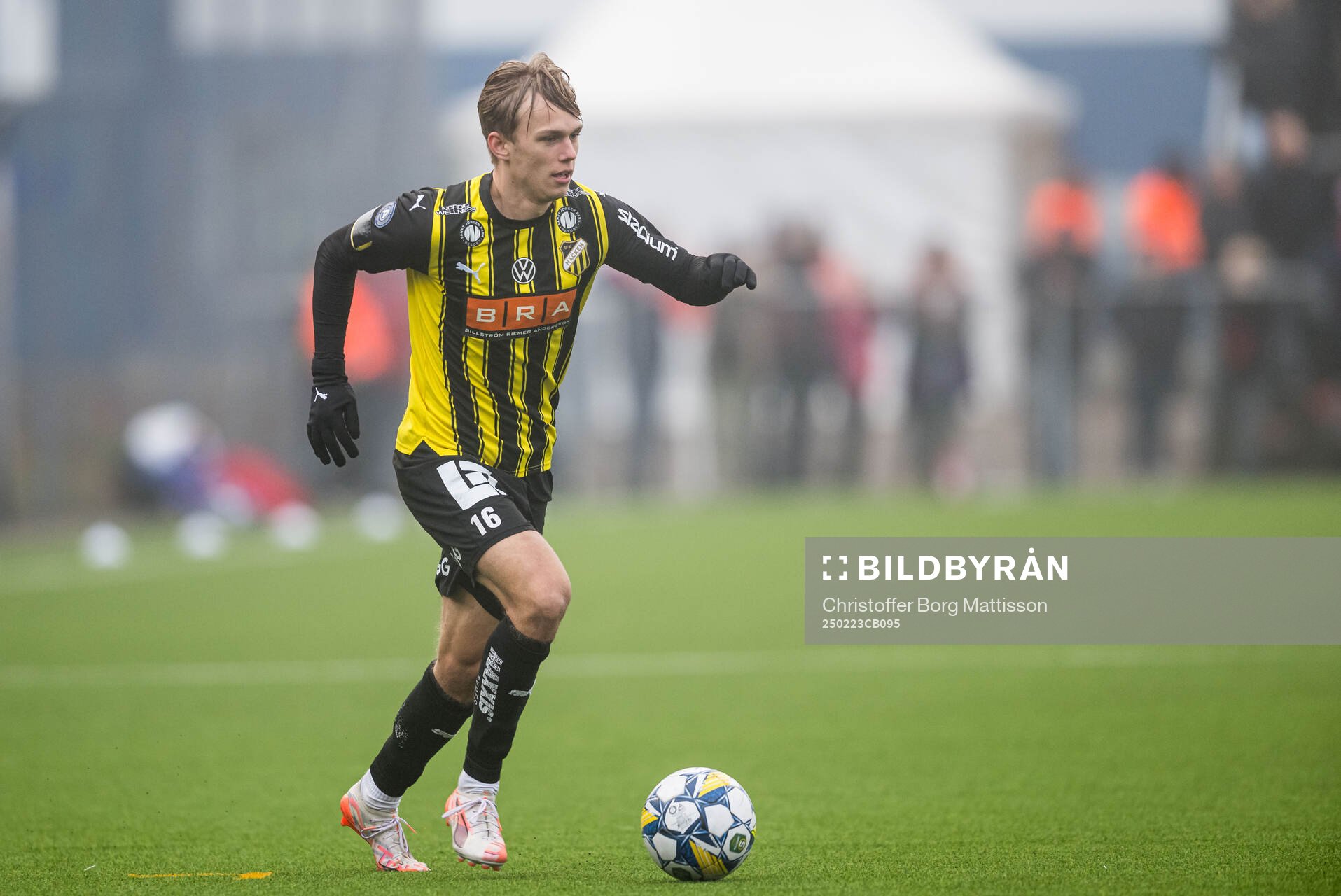 Häckens Pontus Dahbo