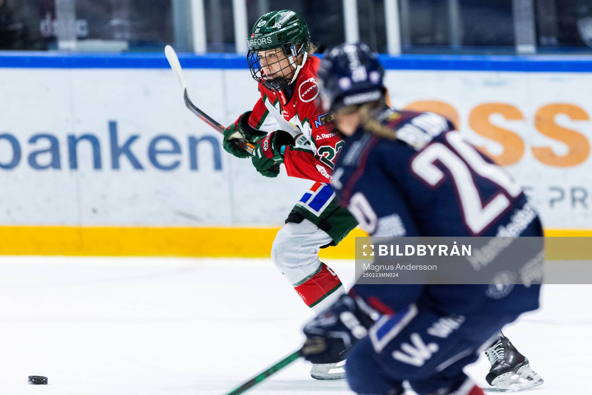Frölundas Andrea Dalen