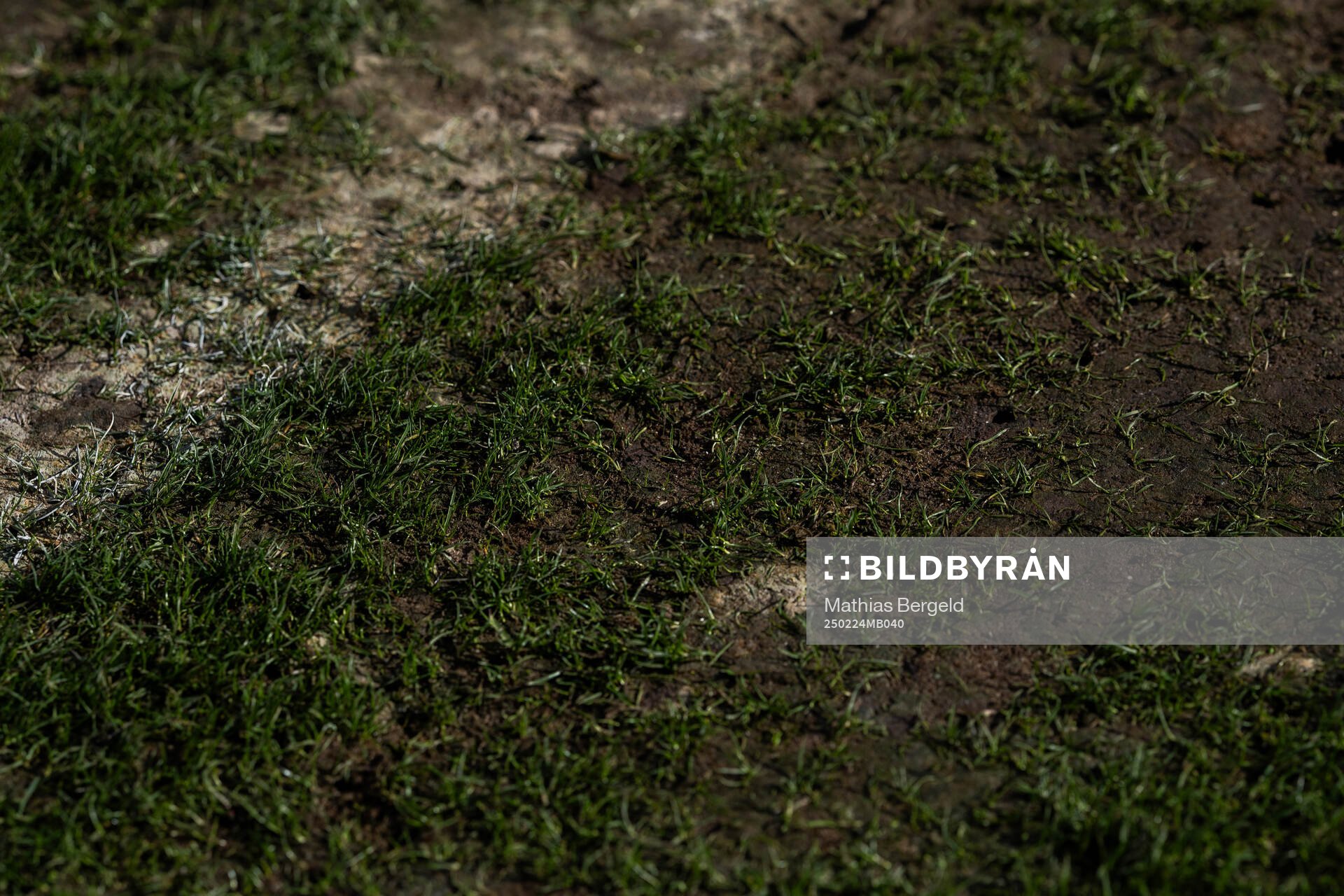 Detali of the pitch at Racecourse Ground