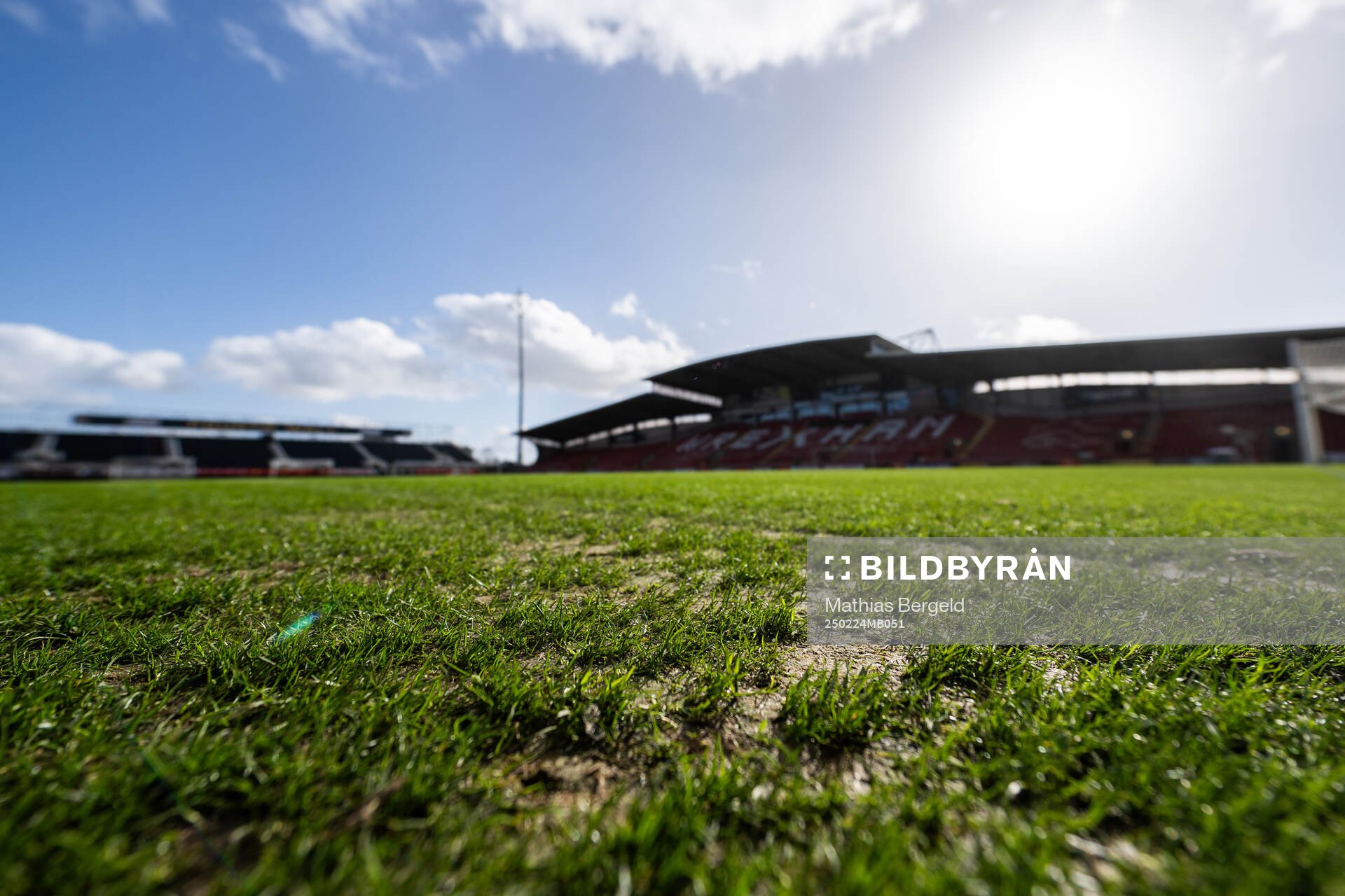 Detail of the pitch at Racecourse Ground