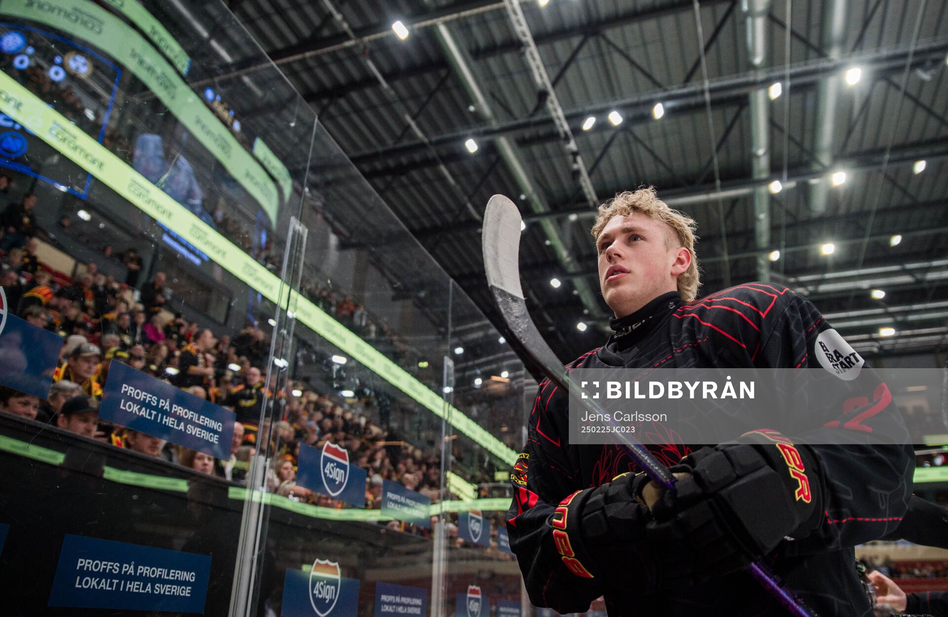 Brynäs Leo Sundqvist