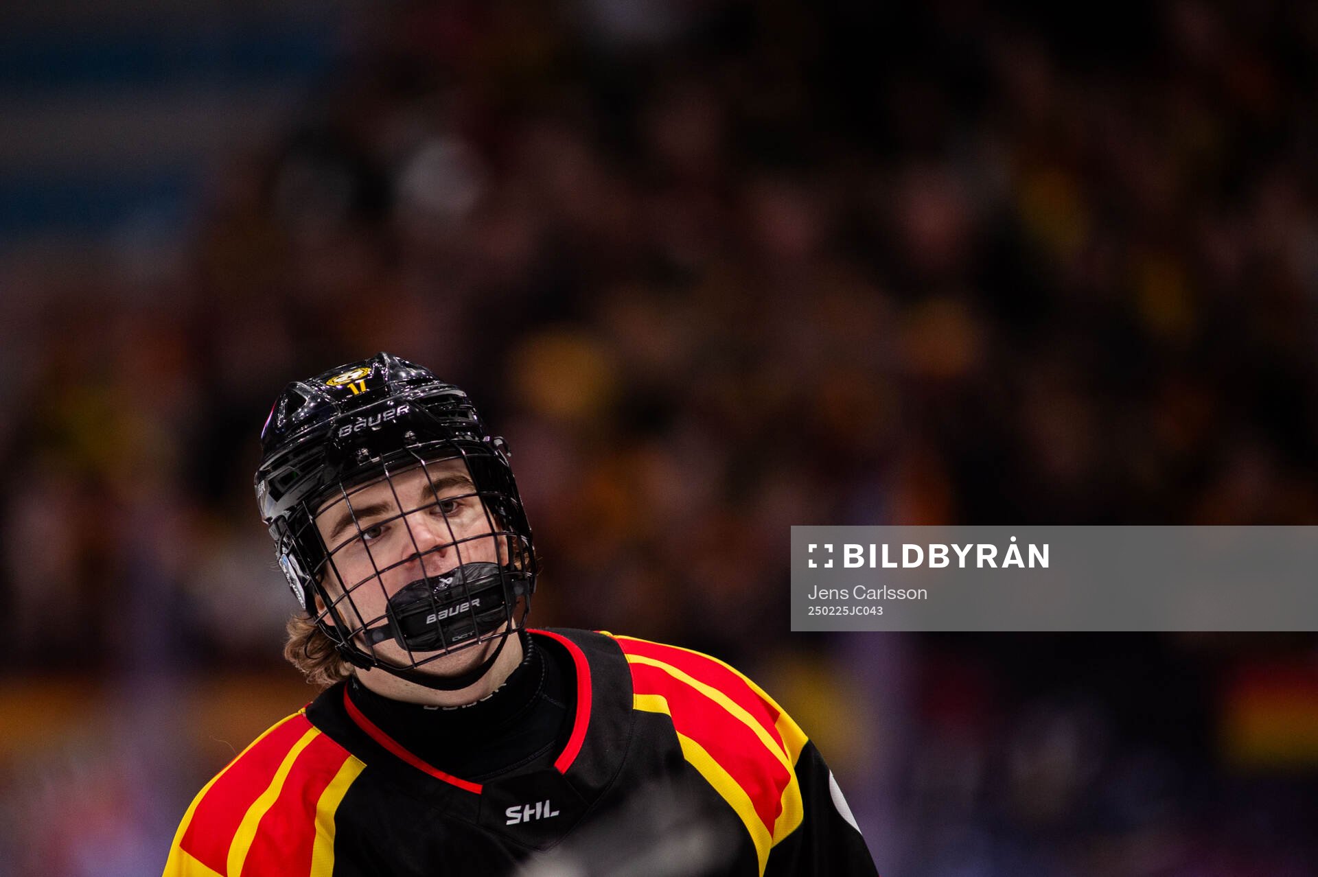 Brynäs Michal Svrcek