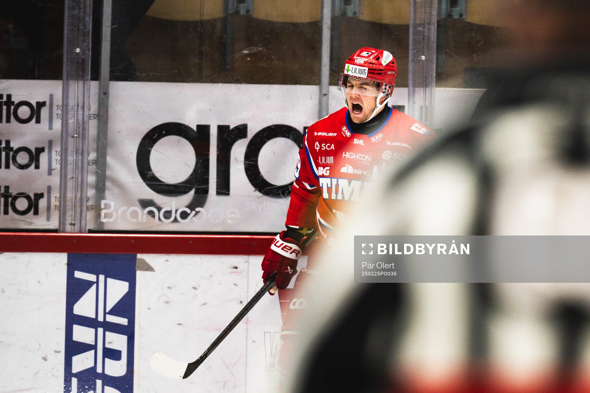 Timrås Filip Hållander jublar