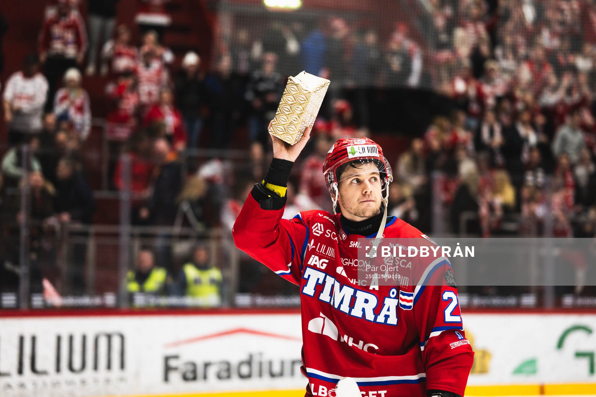Timrås Filip Hållander