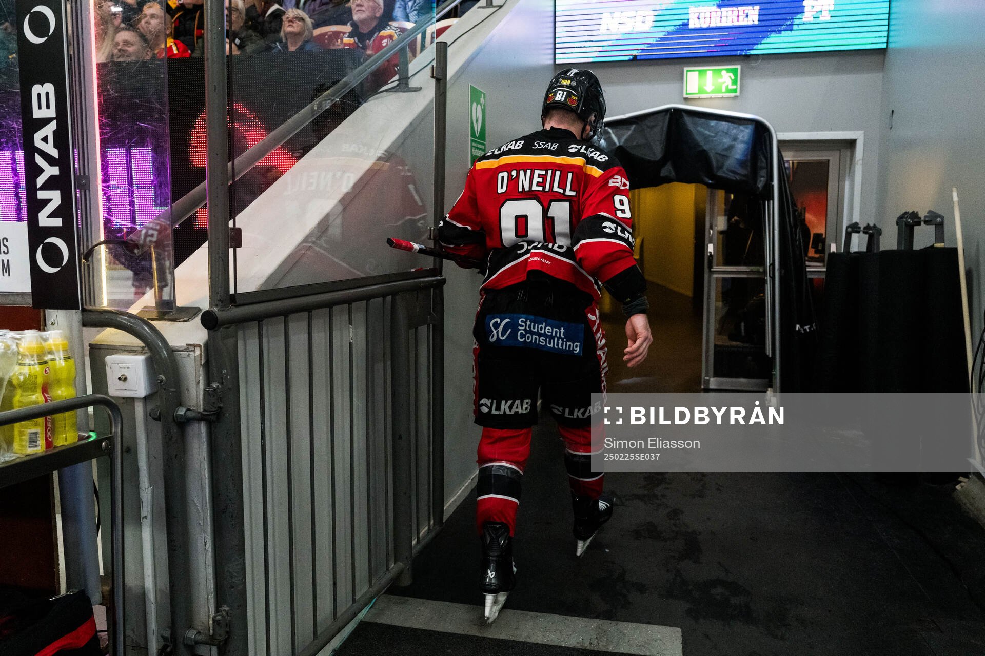 Luleås Brian O'neil lämnar isen