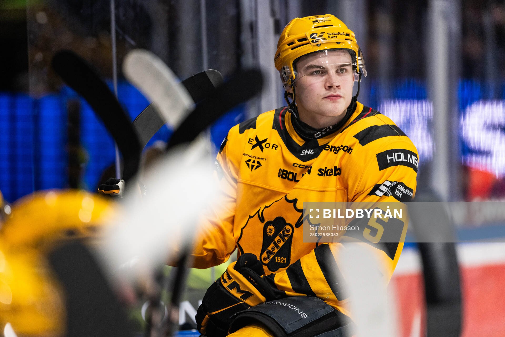 Skellefteås Axel Sandin Pellikka