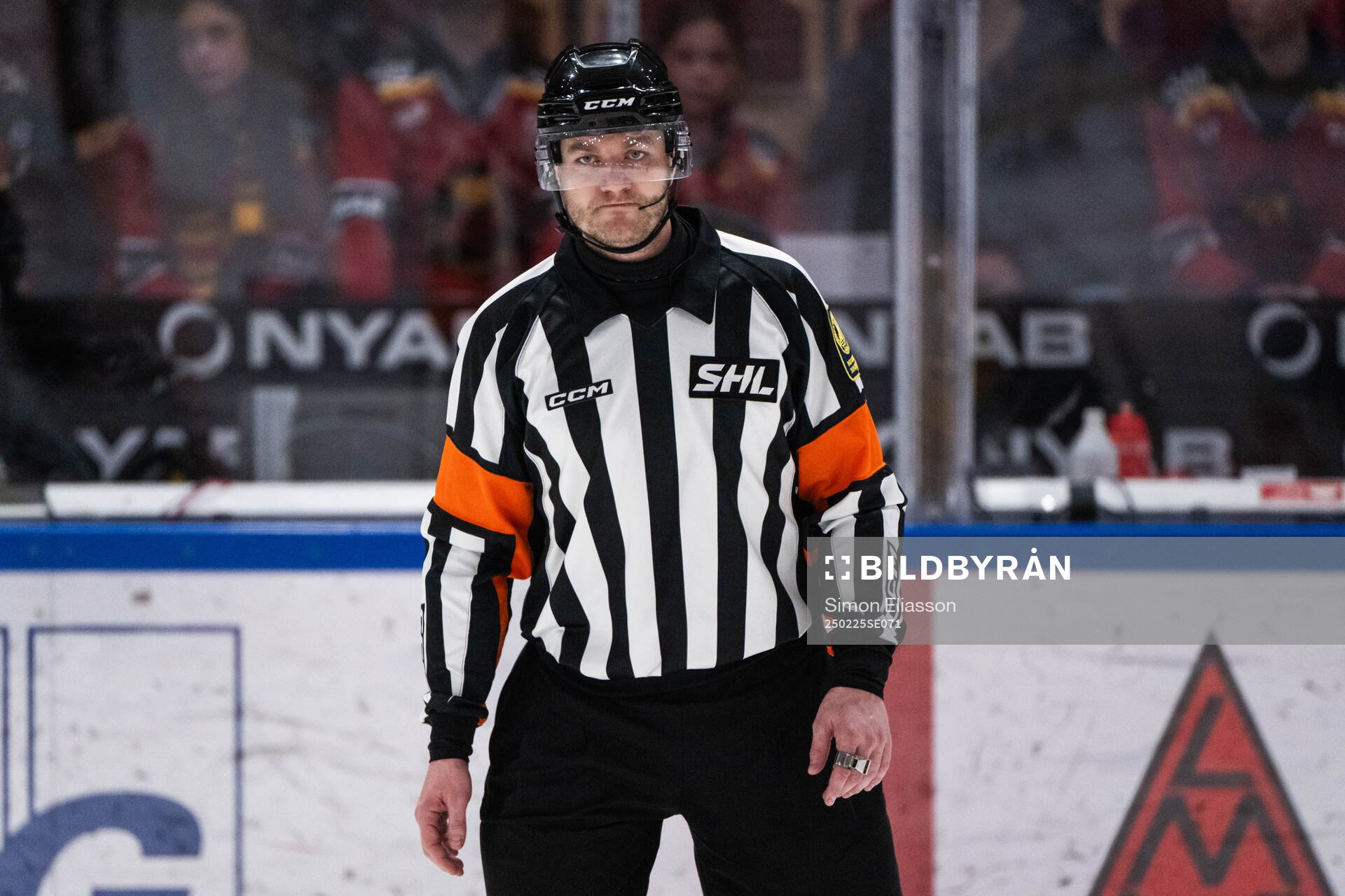 Domare Daniel Eriksson