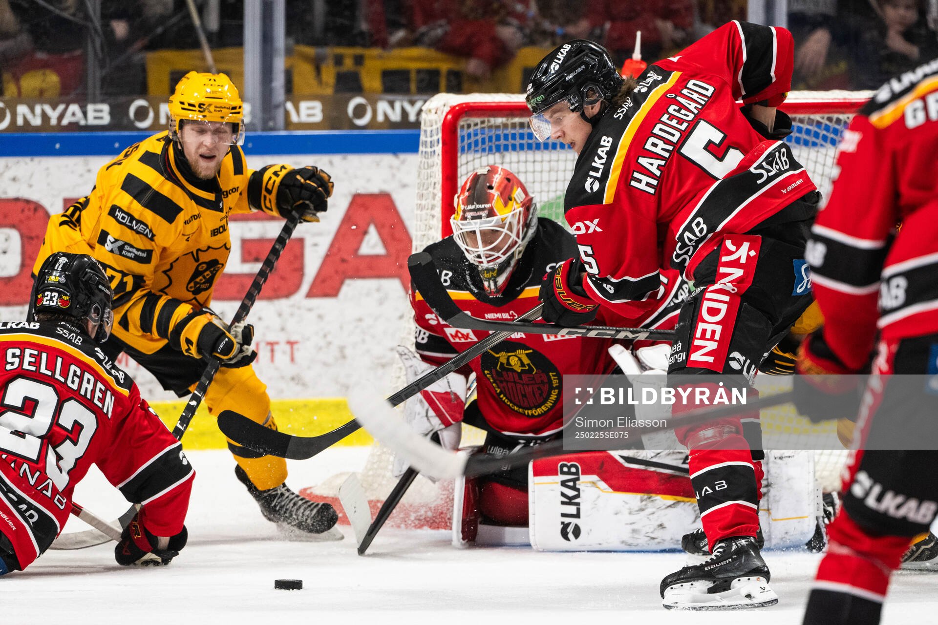 Luleås Marcus Hardegård