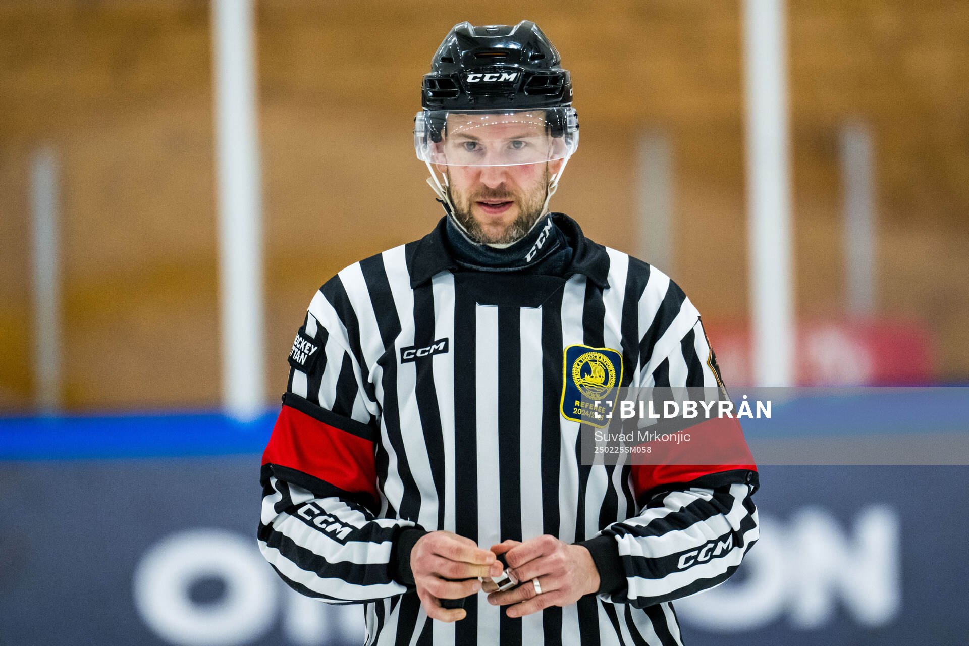 Domare Jim Bergqvist