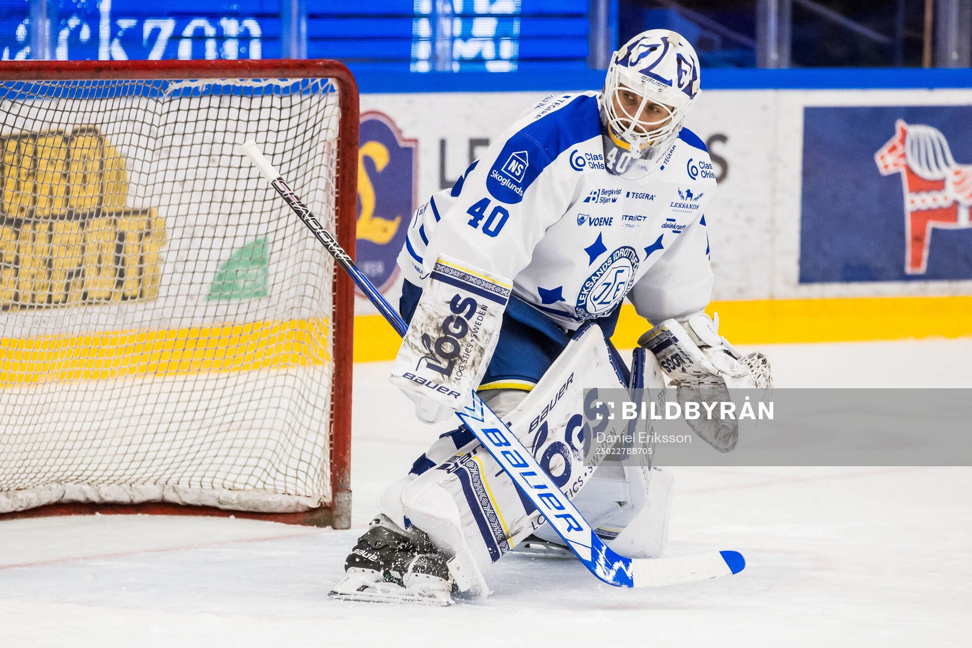 Leksands målvakt Mantas Armalis