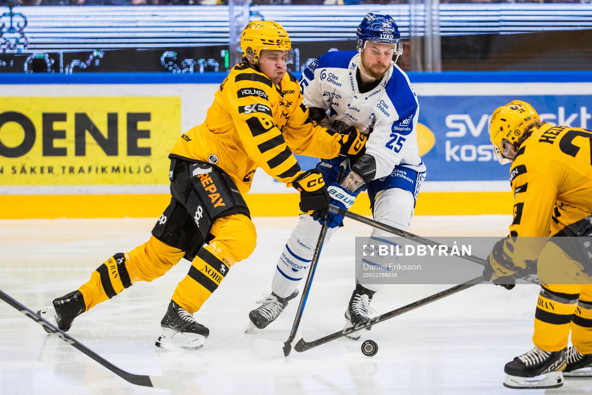 Skellefteås Måns Forsfjäll och Leksands Lucas Elvenes