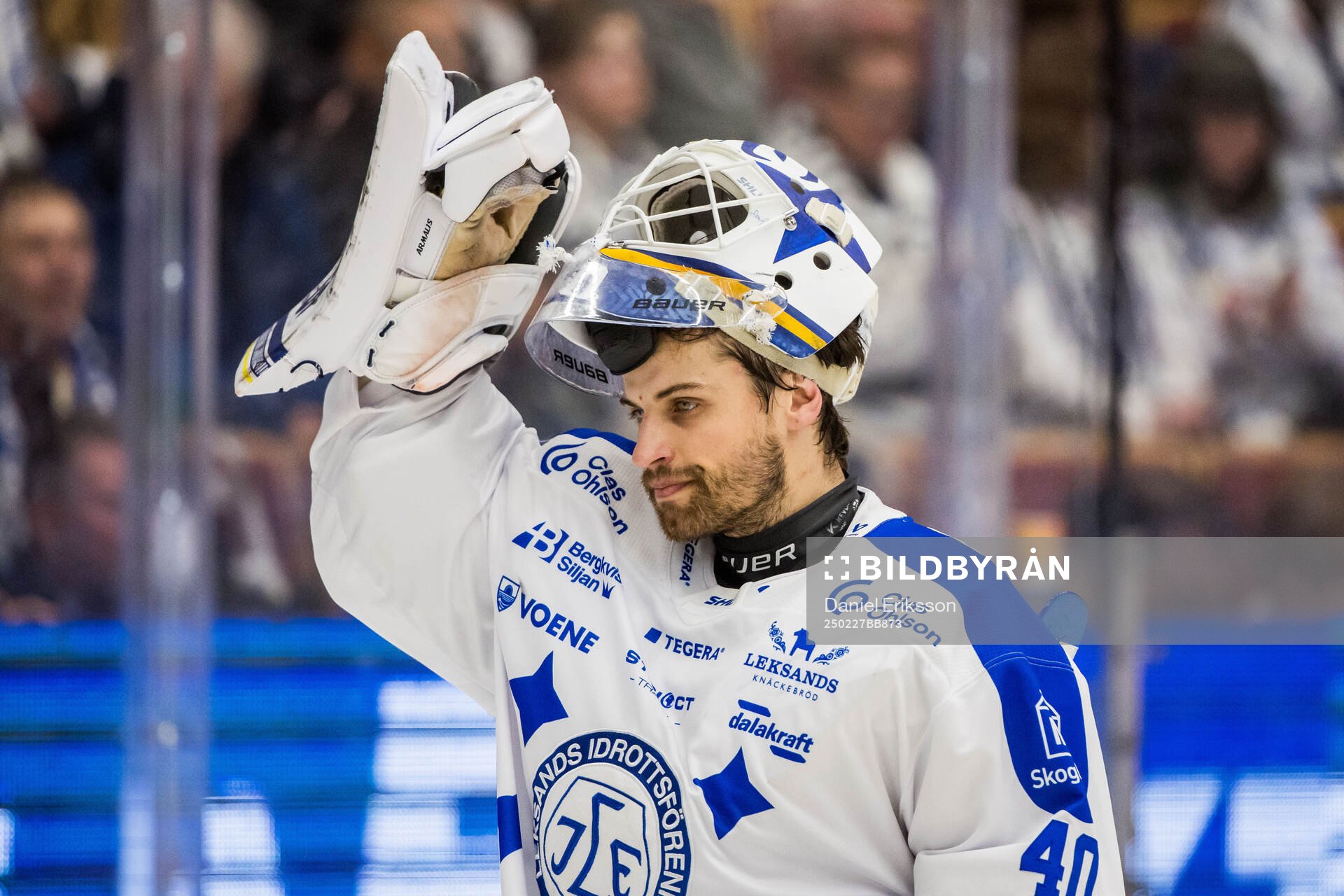 Leksands målvakt Mantas Armalis