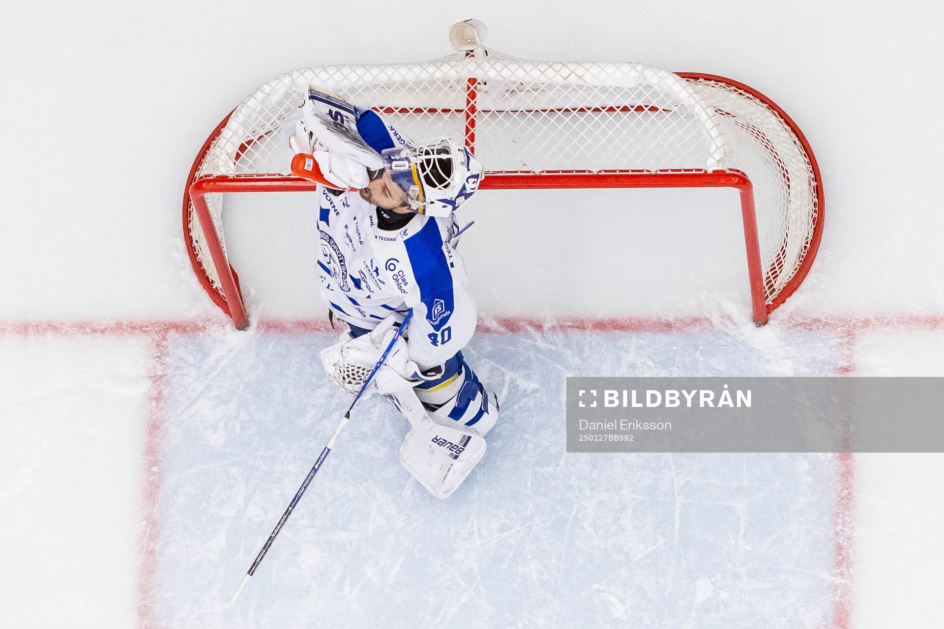 Leksands målvakt Mantas Armalis