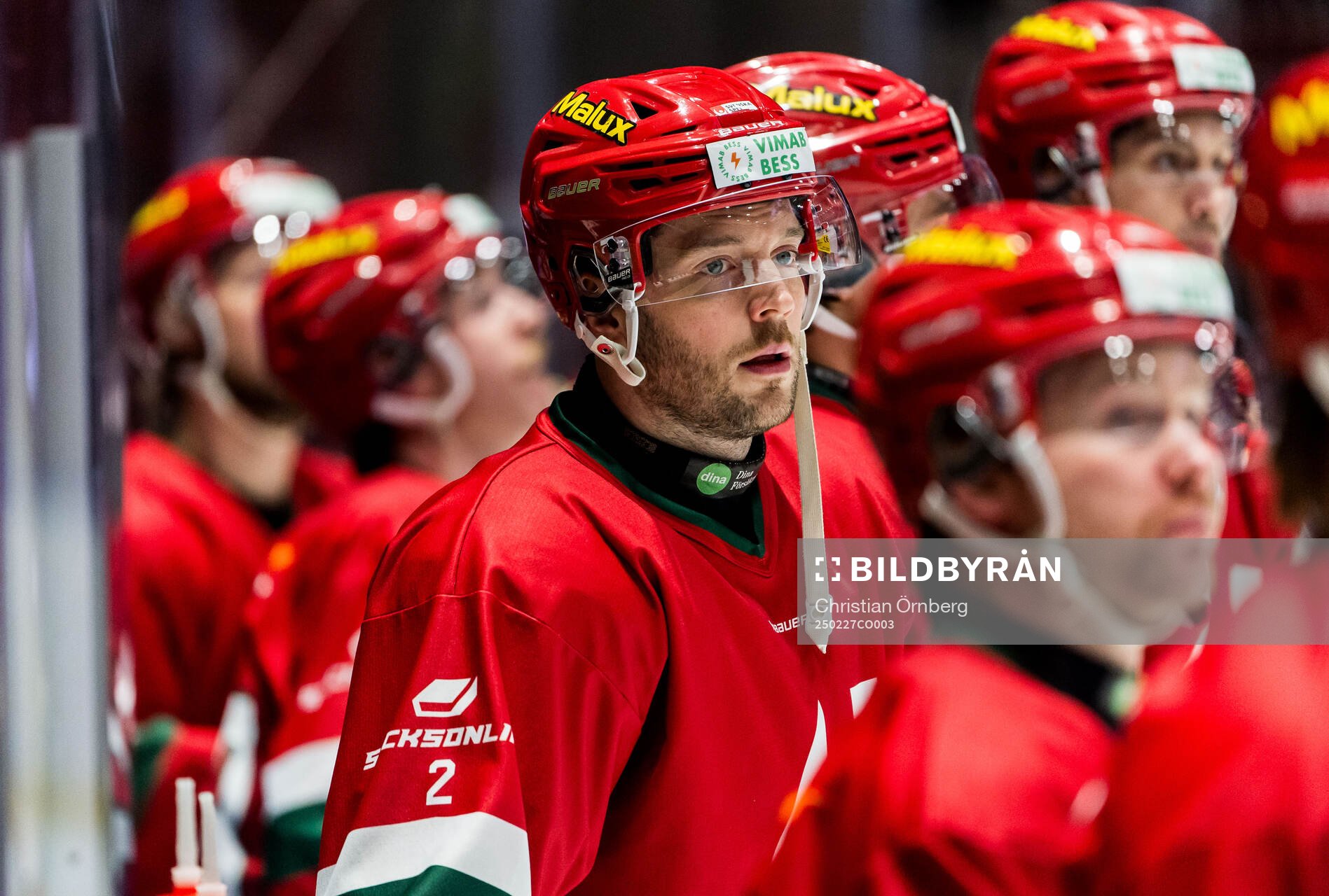 Modos David Rundblad
