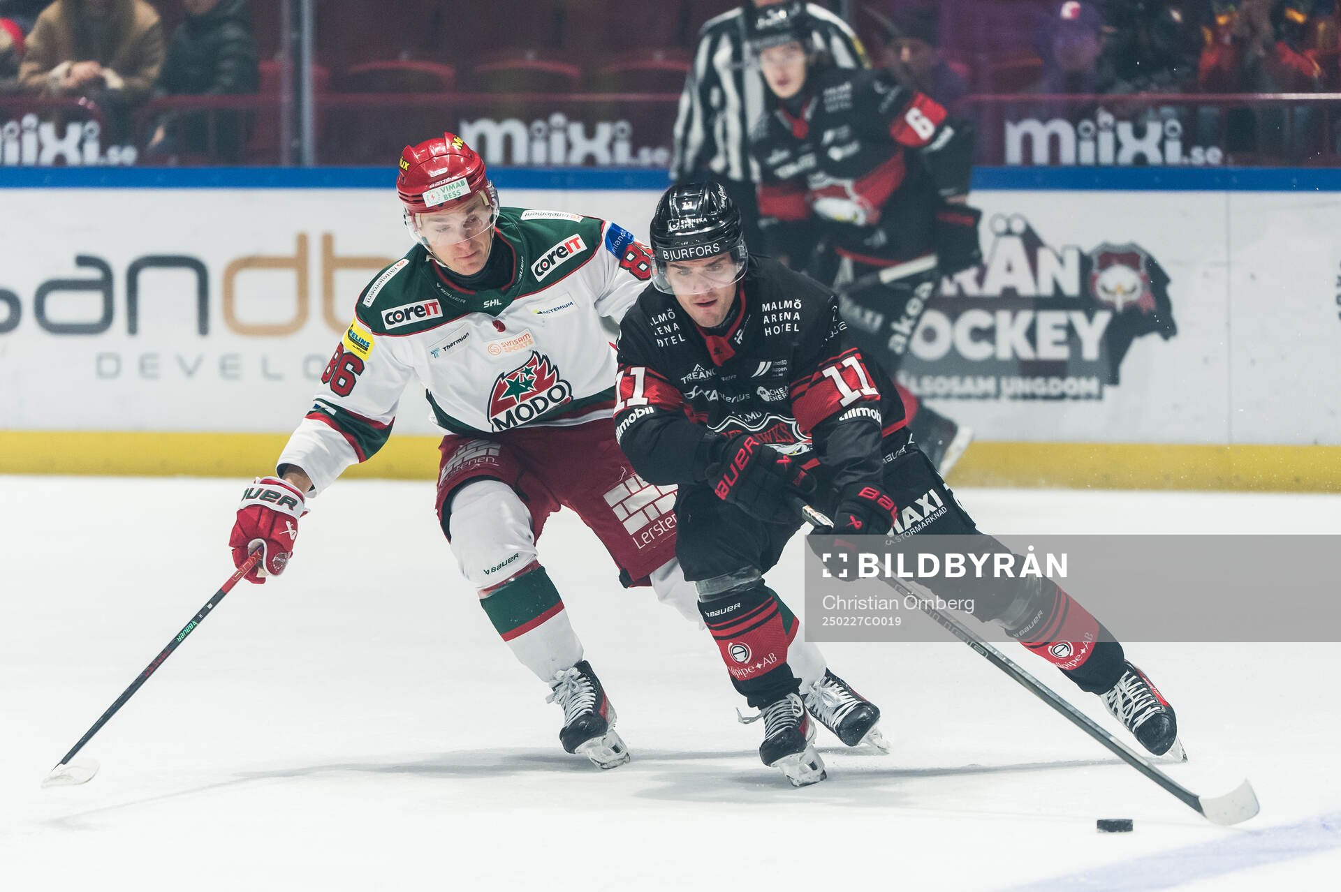 Modos Lukas Jasek och Malmö Redhawks Nikola Pasic