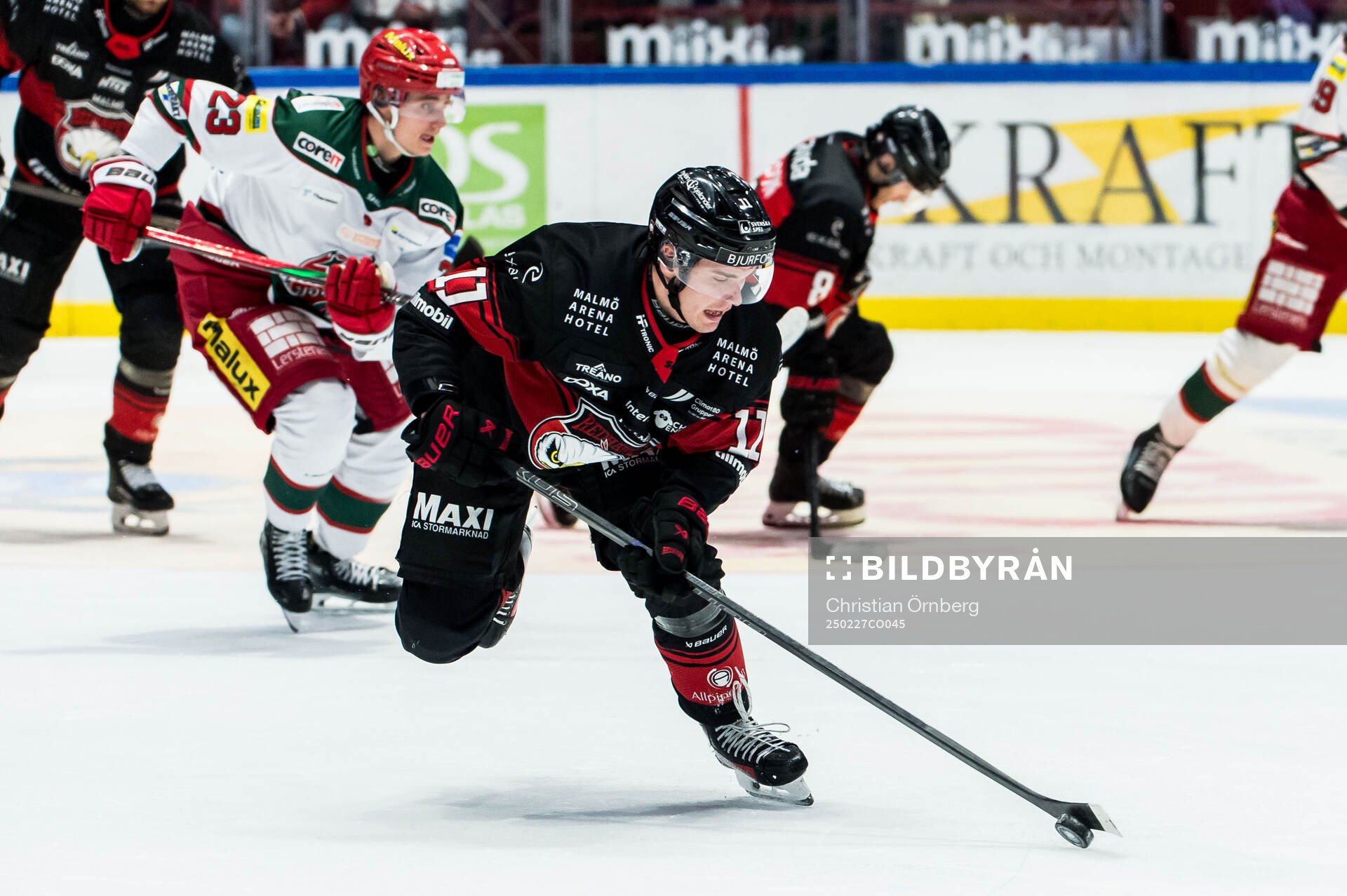 Malmö Redhawks Nikola Pasic
