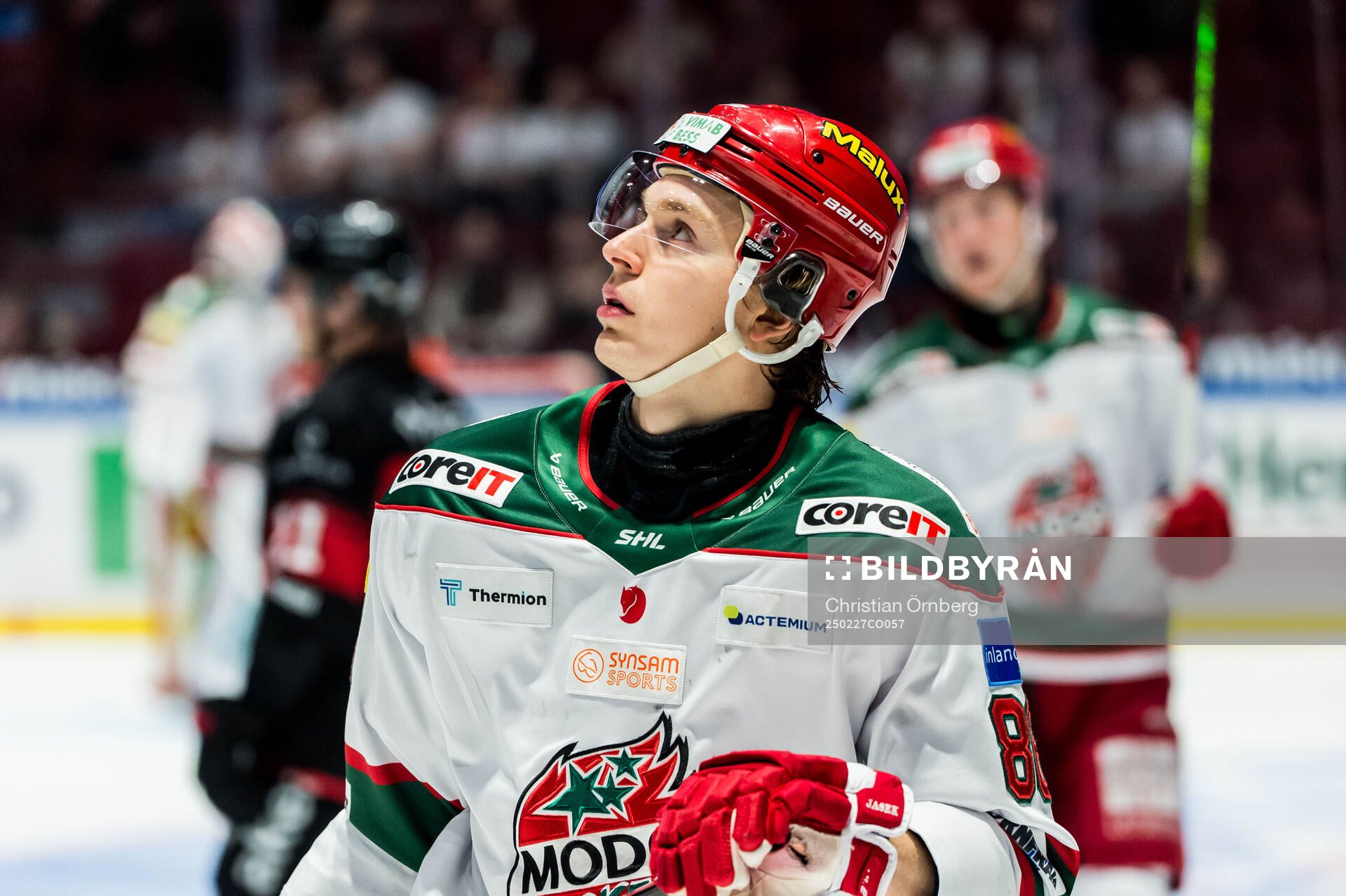 Modos Lukas Jasek