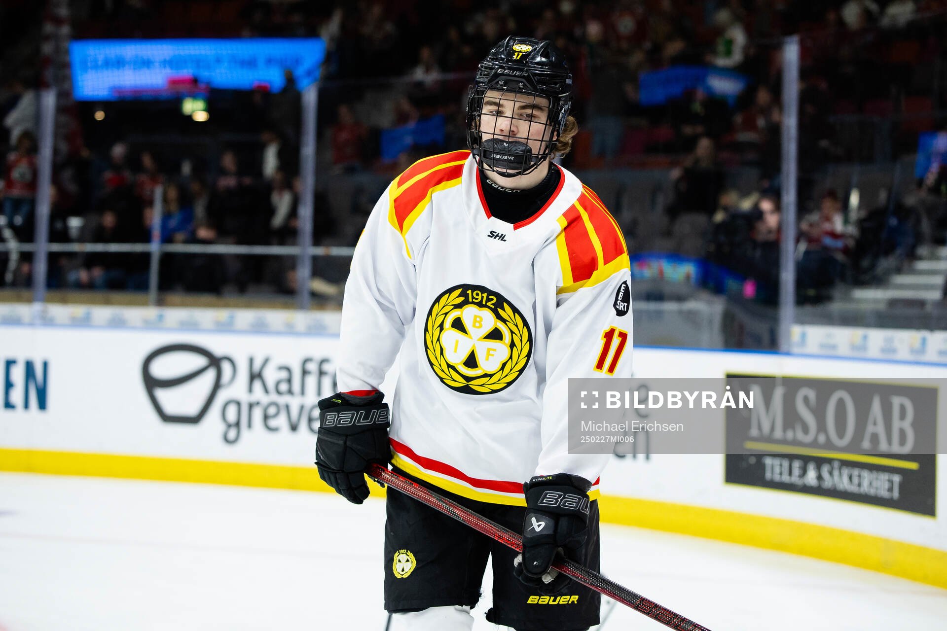 Brynäs Michal Svrcek