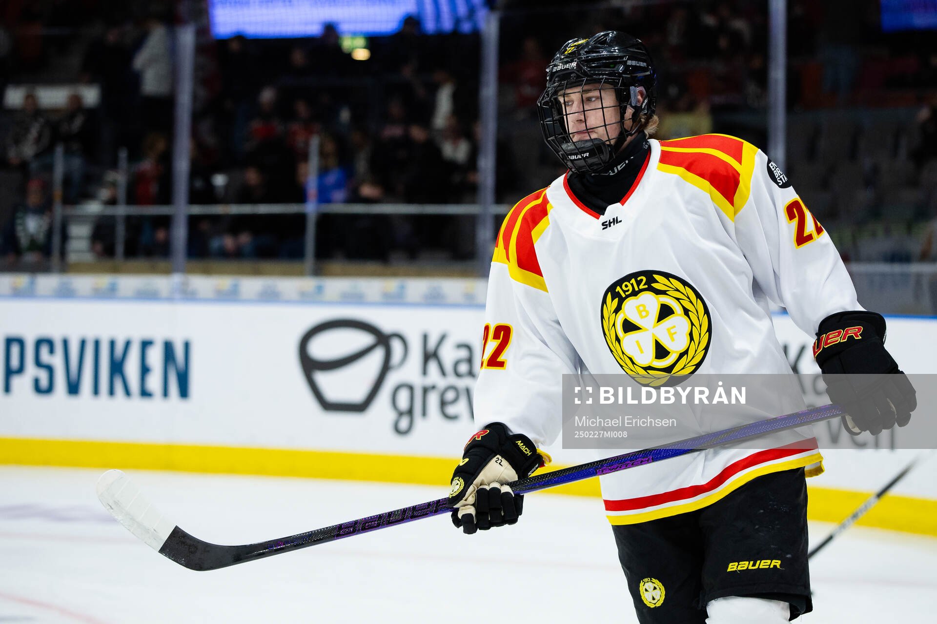 Brynäs Leo Sundqvist