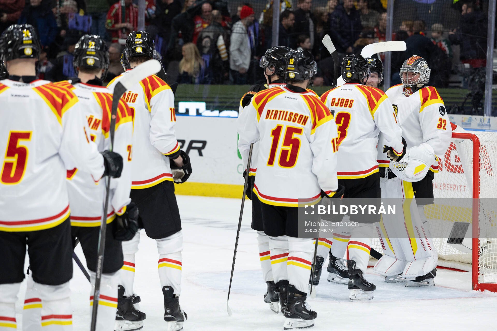 Brynäs spelare jublar