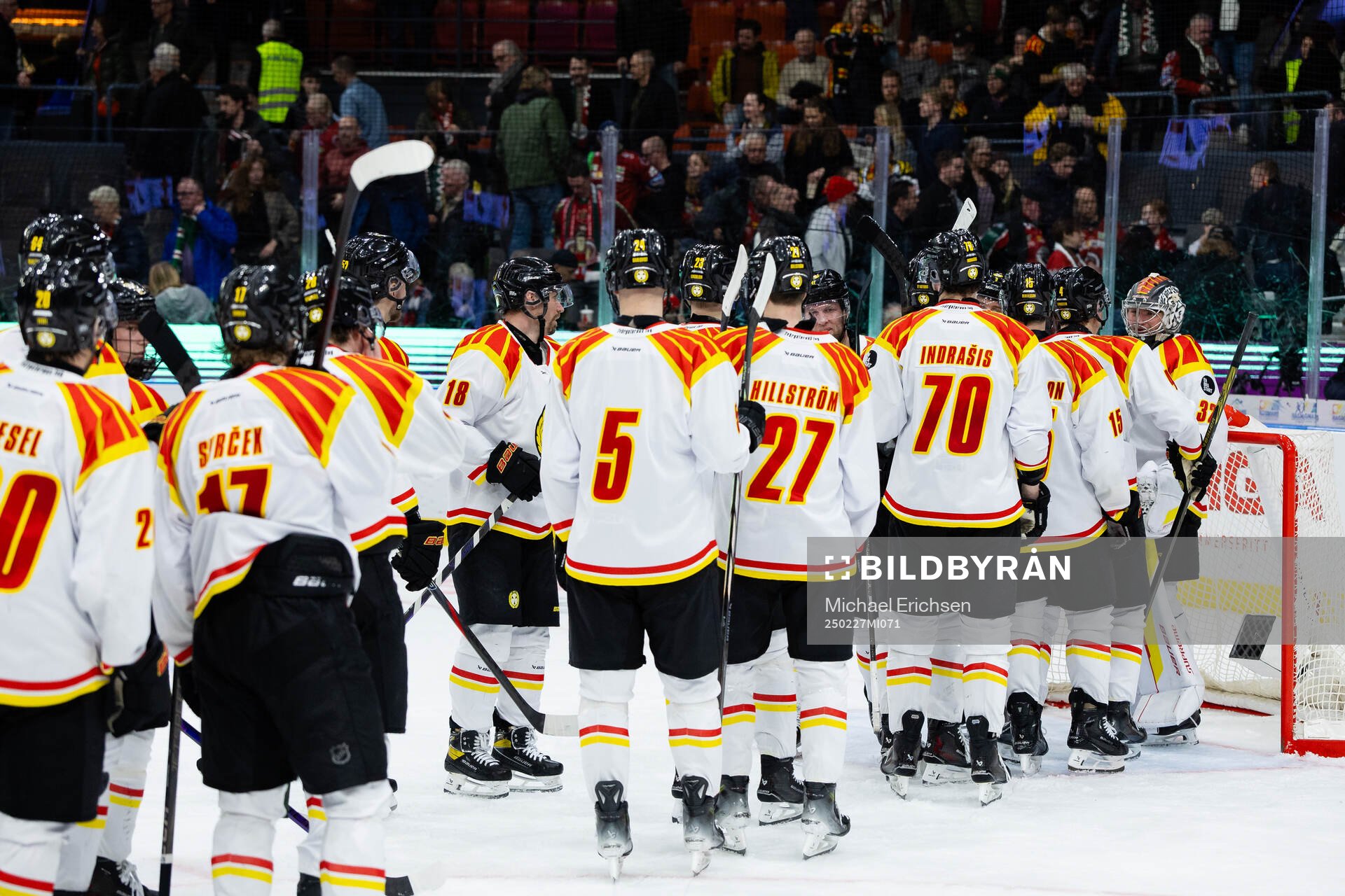 Brynäs spelare jublar