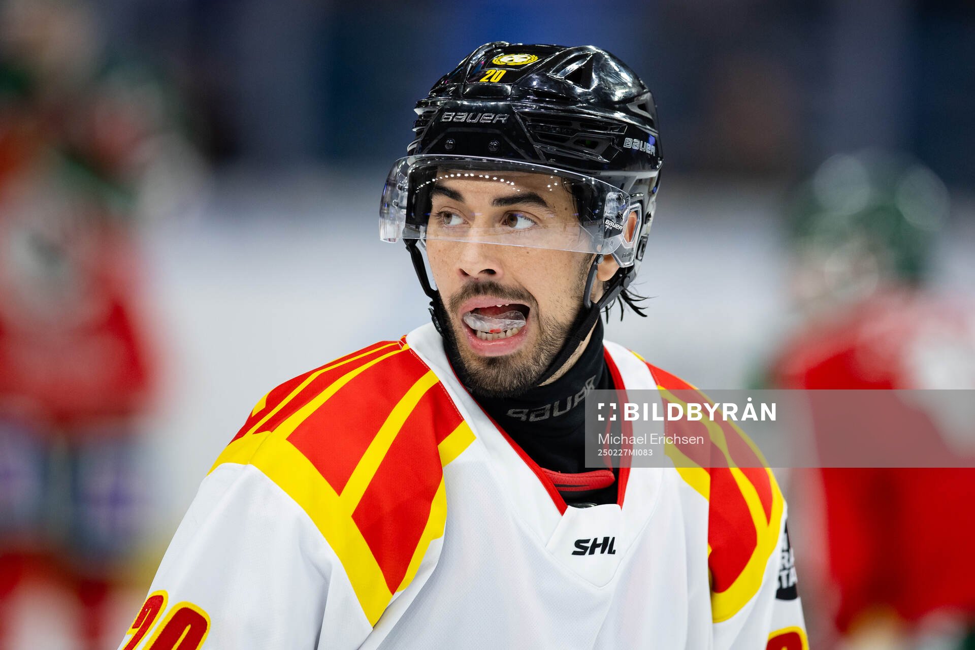 Brynäs Tyler Vesel