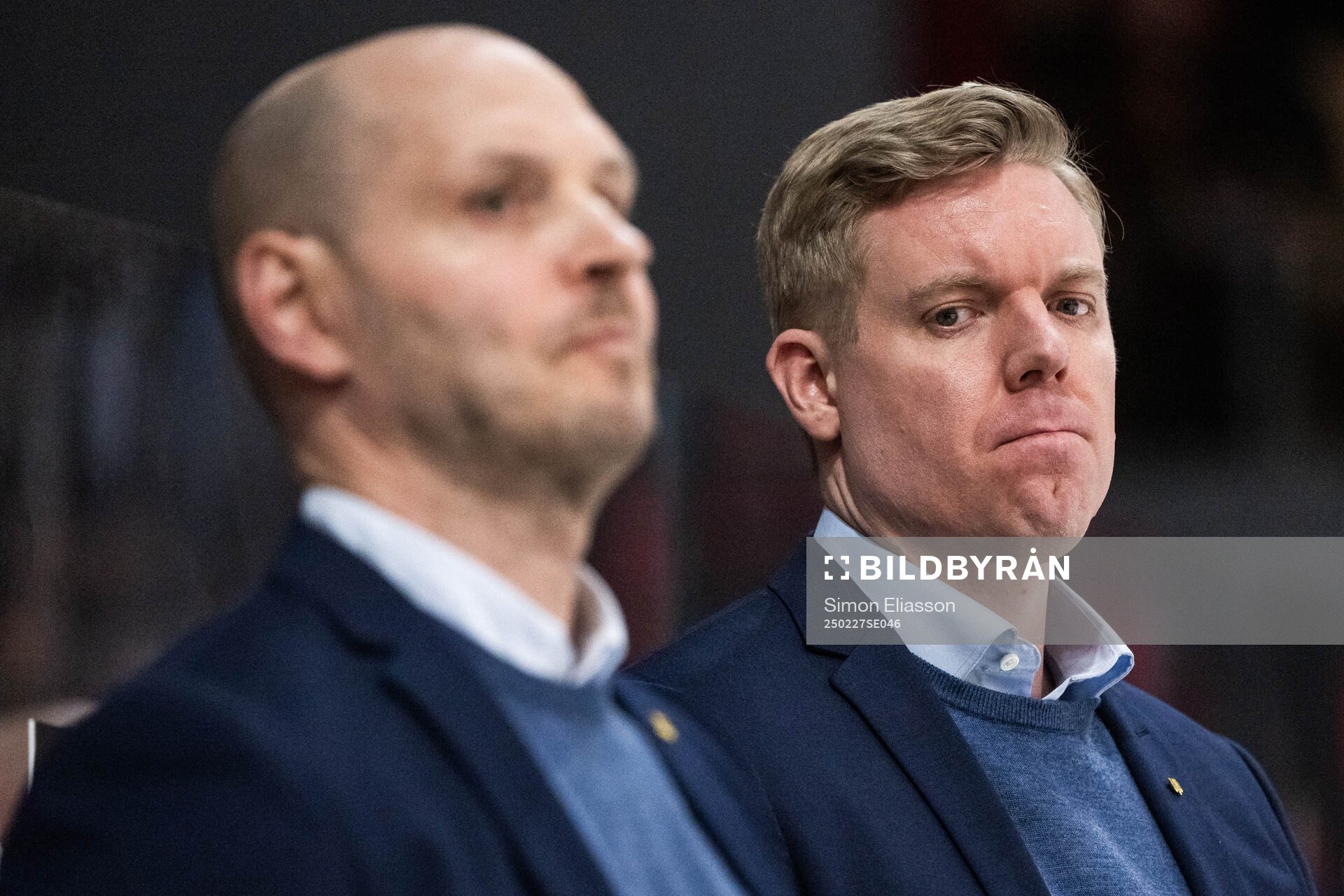 HV71s tränare Anton Blomqvist