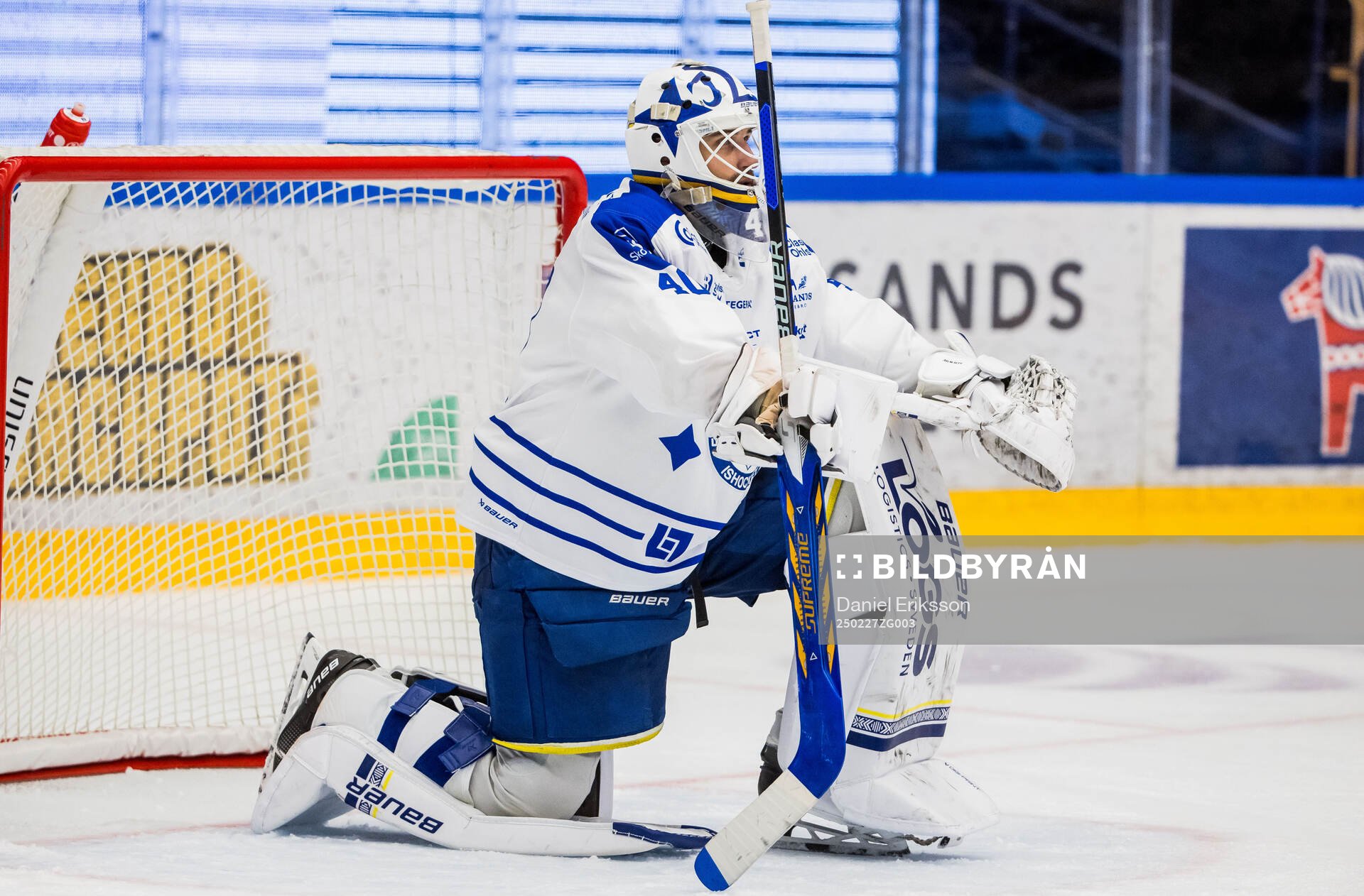 Leksands målvakt Mantas Armalis