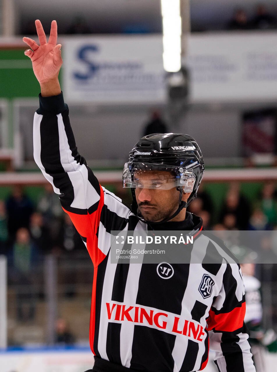 Domare Fredrik Rönnberg