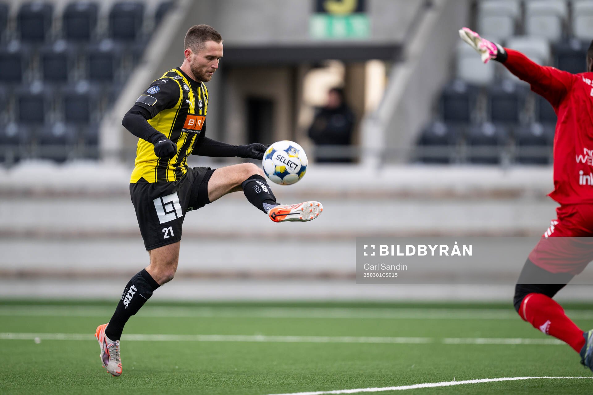 Häckens Adam Lundqvist