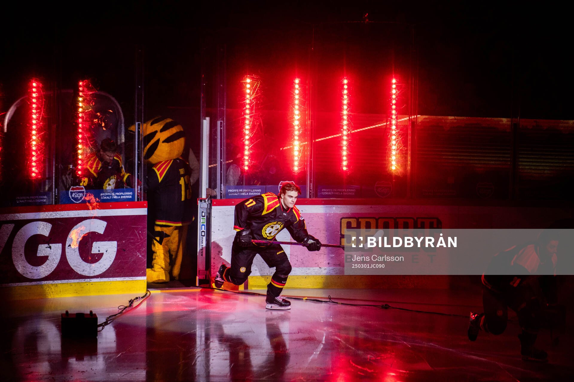 Brynäs Michal Svrcek