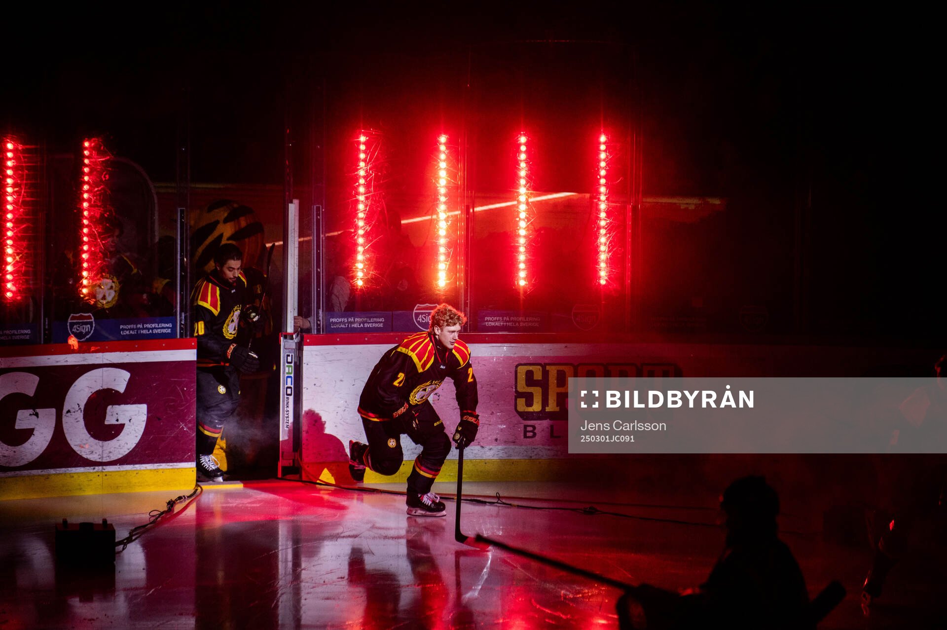 Brynäs Leo Sundqvist
