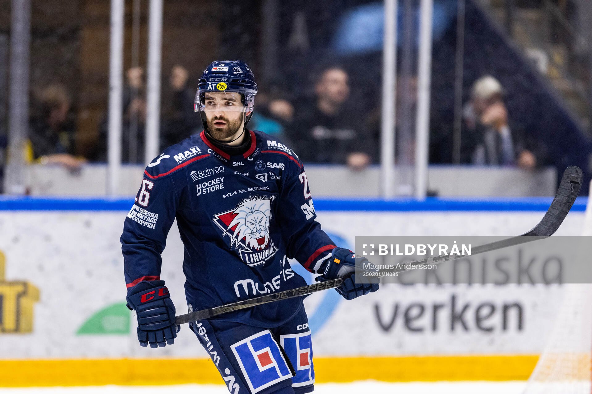 Linköpings Max Martin jublar