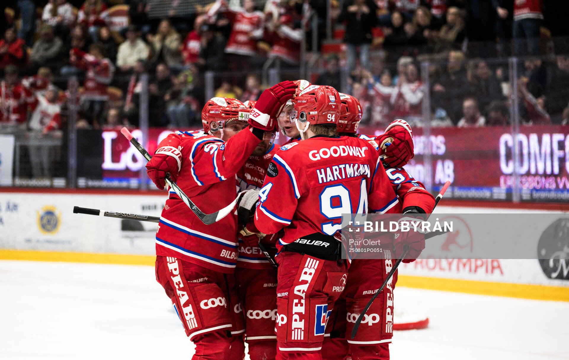 Timrås Anton Wedin jublar