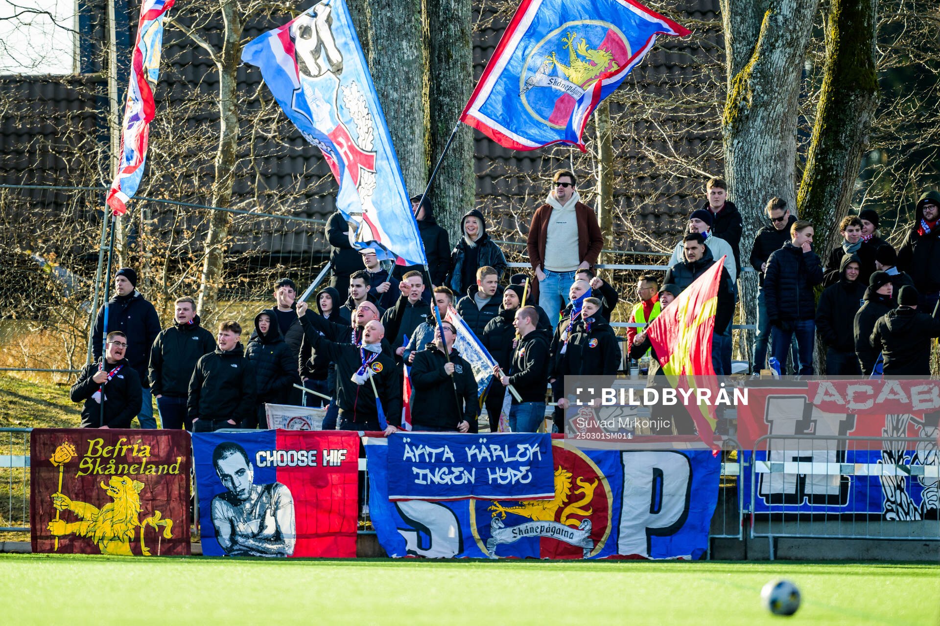 Helsingborgs supportrar
