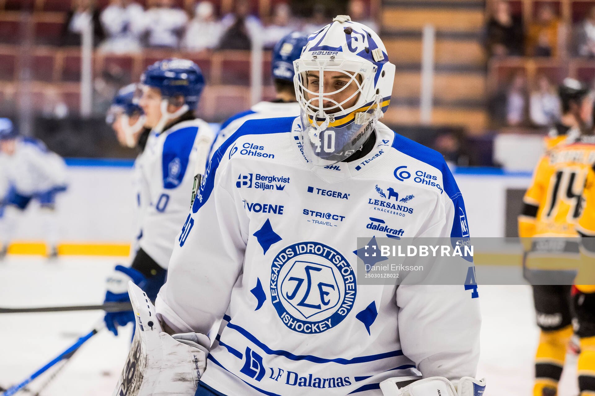 Leksands målvakt Mantas Armalis