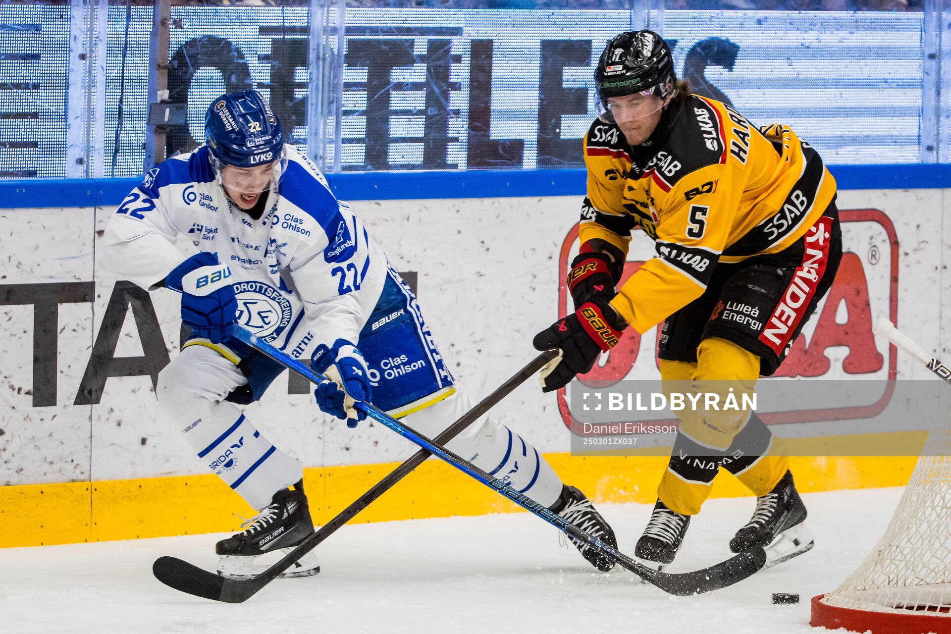 Leksands Lukas Vejdemo och Luleås Marcus Hardegård