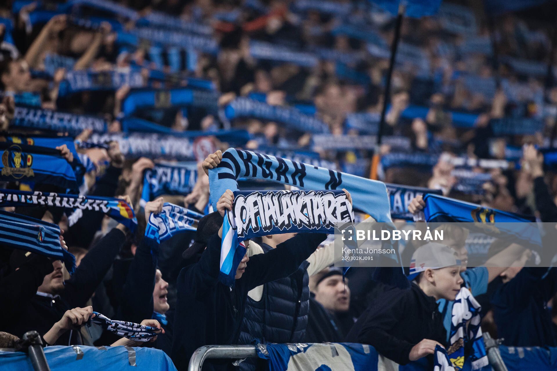 Djurgårdens supportrar