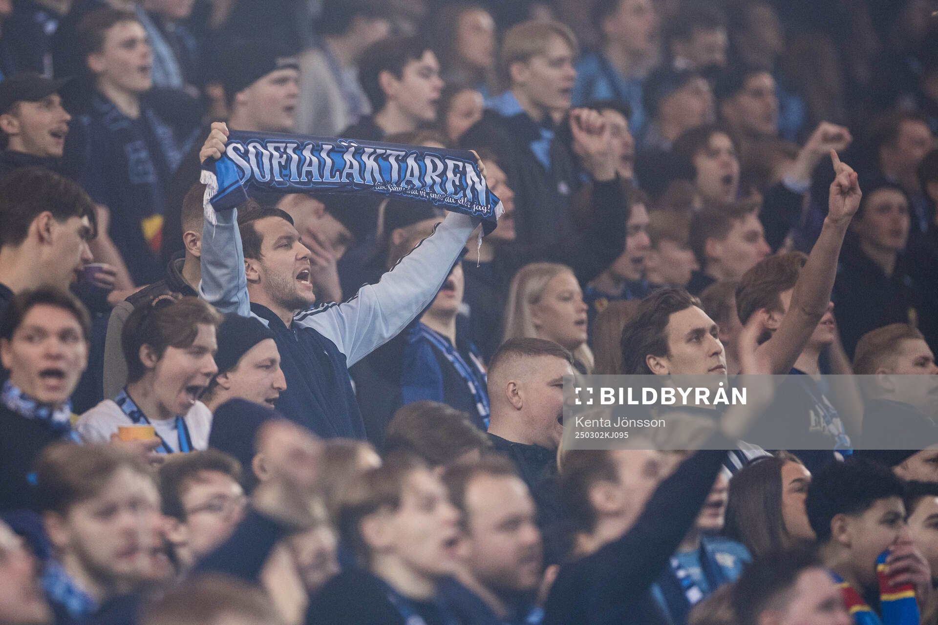 Djurgårdens supportrar