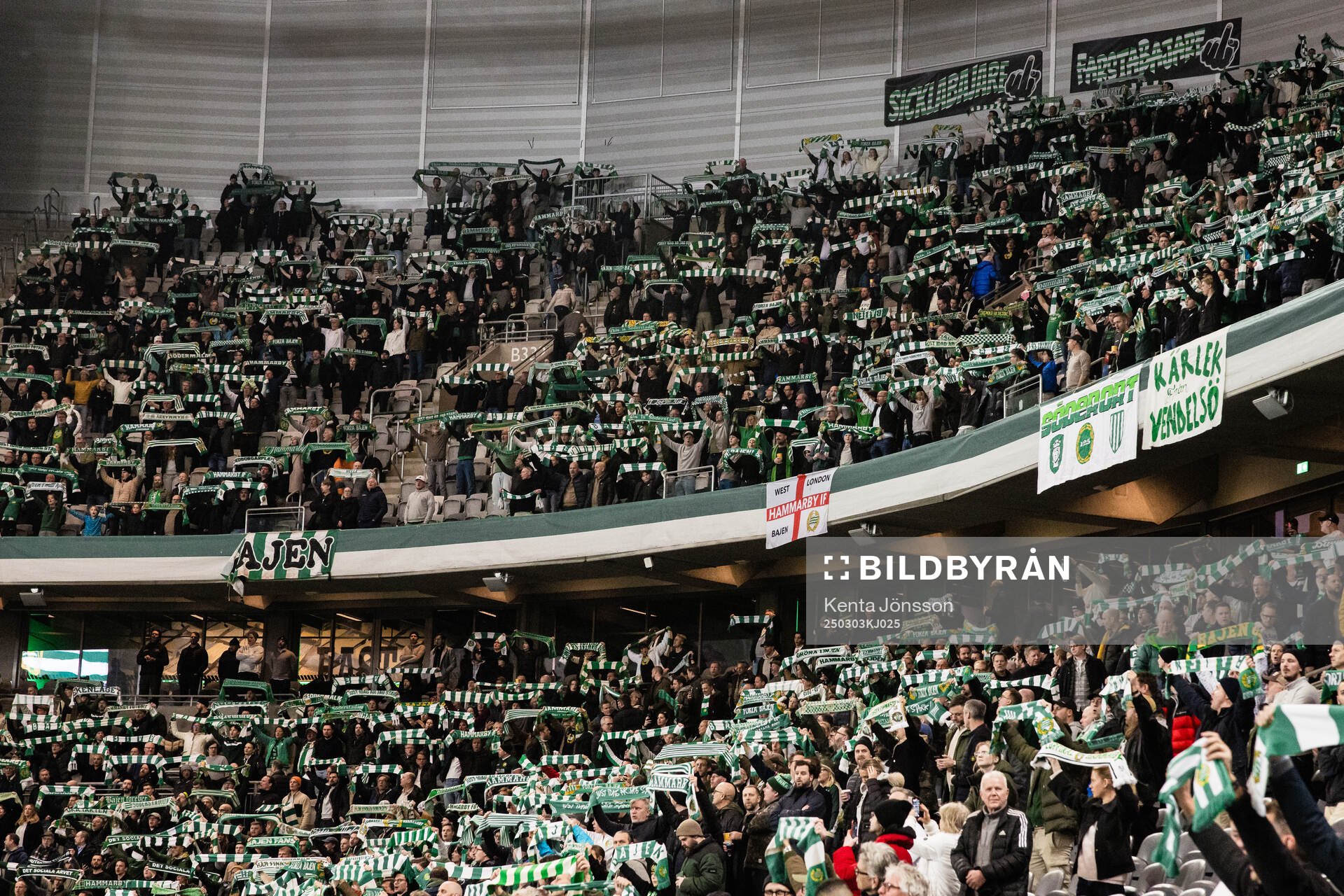 Hammarbys supportrar