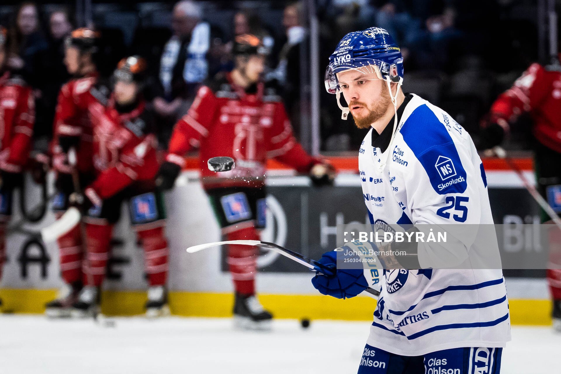 Leksands Lucas Elvenes