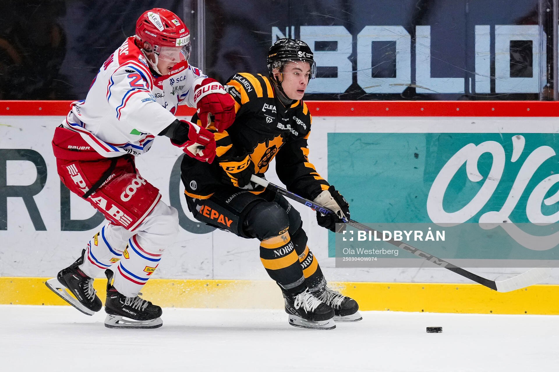 Timrås Oliver Johansson och Skellefteås Viggo Nordlund