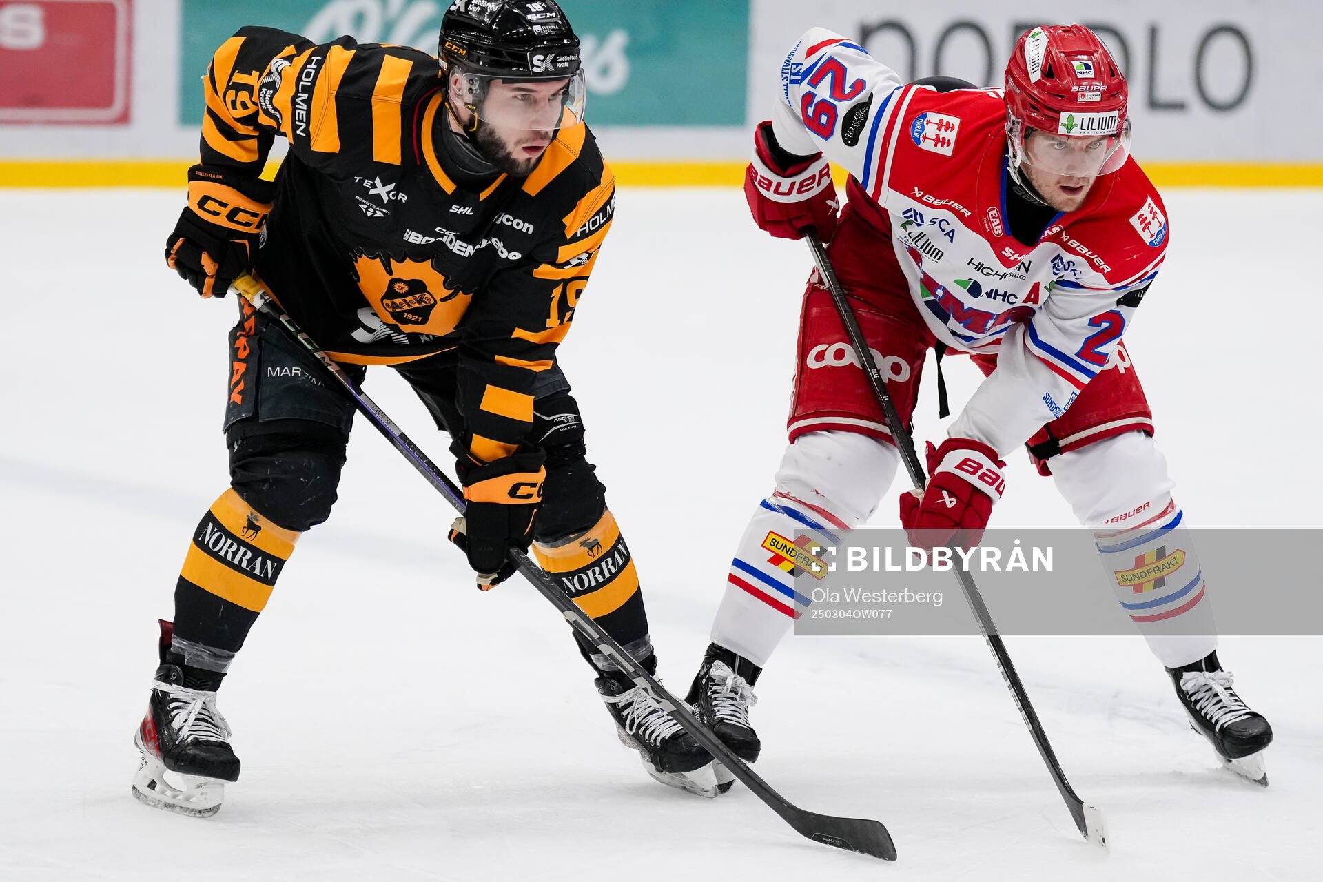 Skellefteås Martins Dzierkals och Timrås Filip Hållander