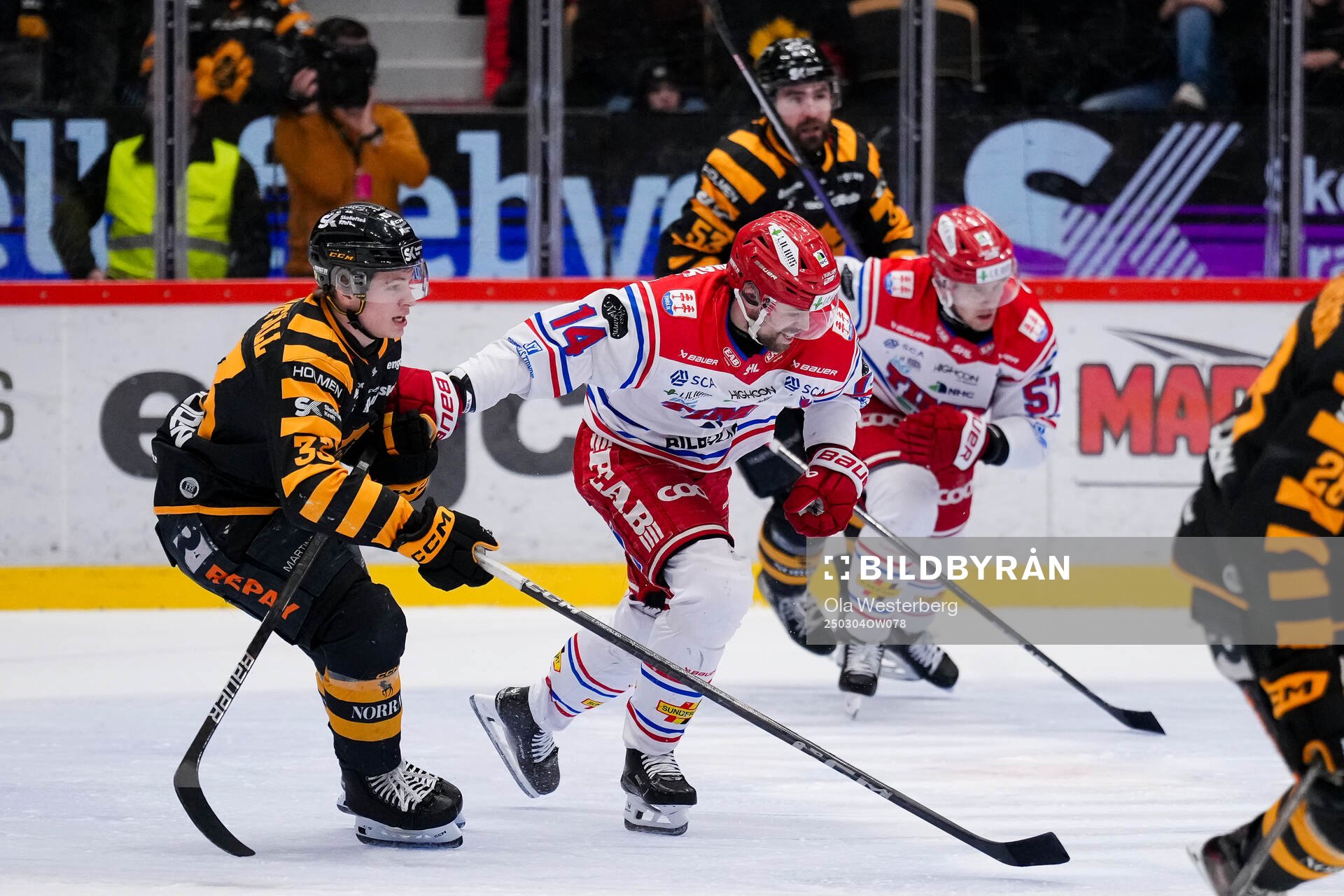 Skellefteås Zeb Forsfjäll och Timrås Emil Pettersson