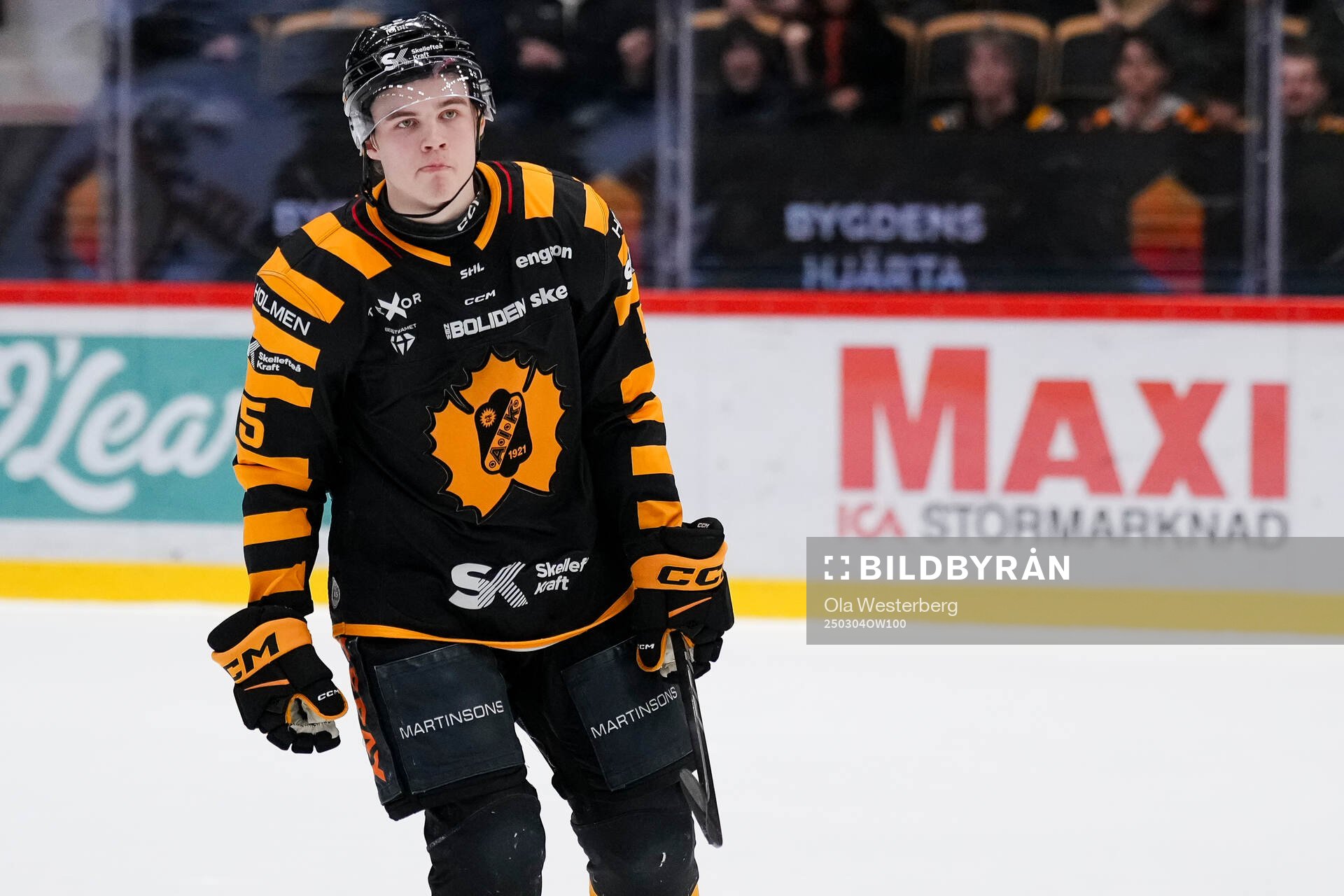 Skellefteås Axel Sandin Pellikka