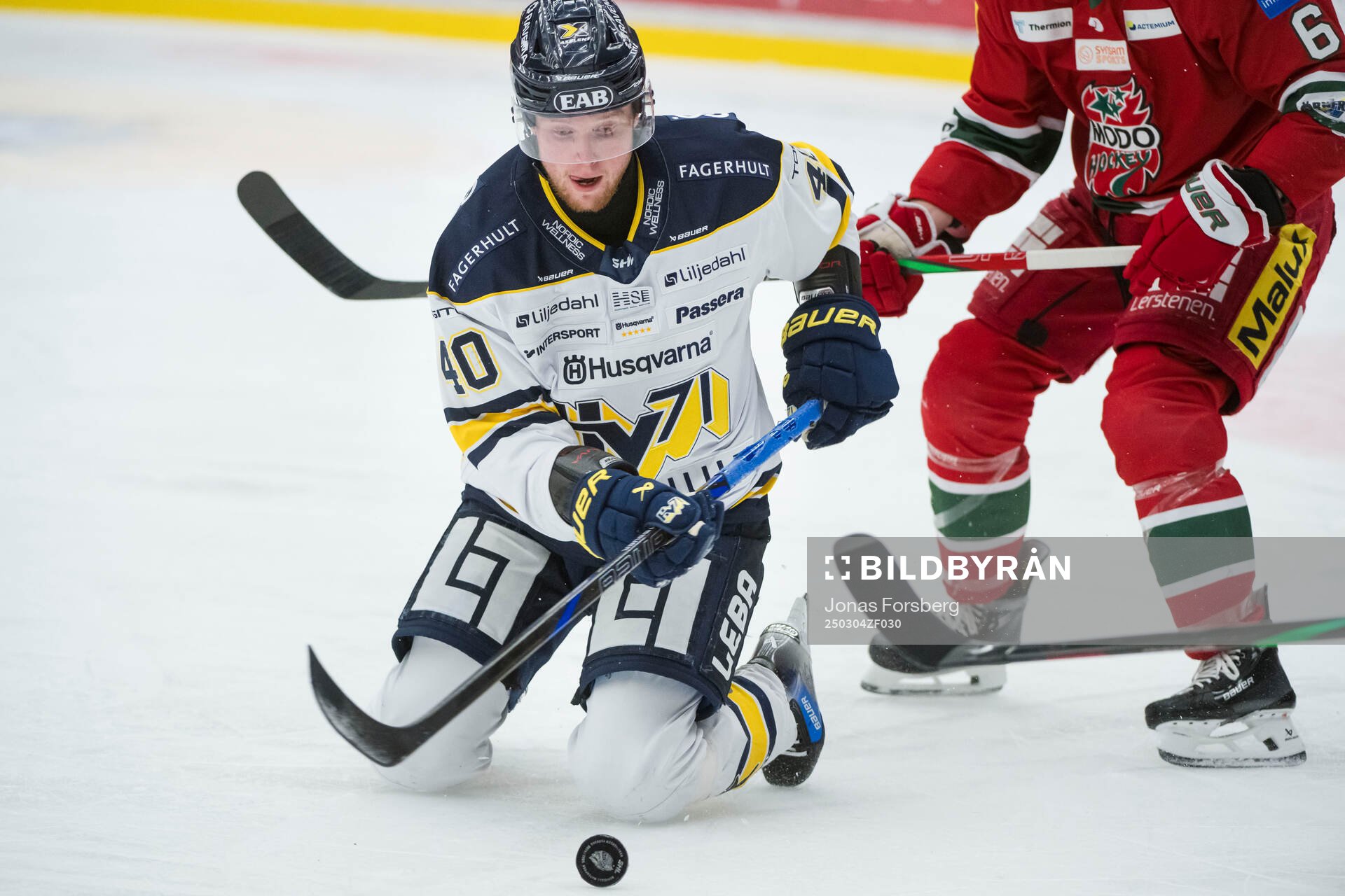 HV71s Oskar Stål-Lyrenäs