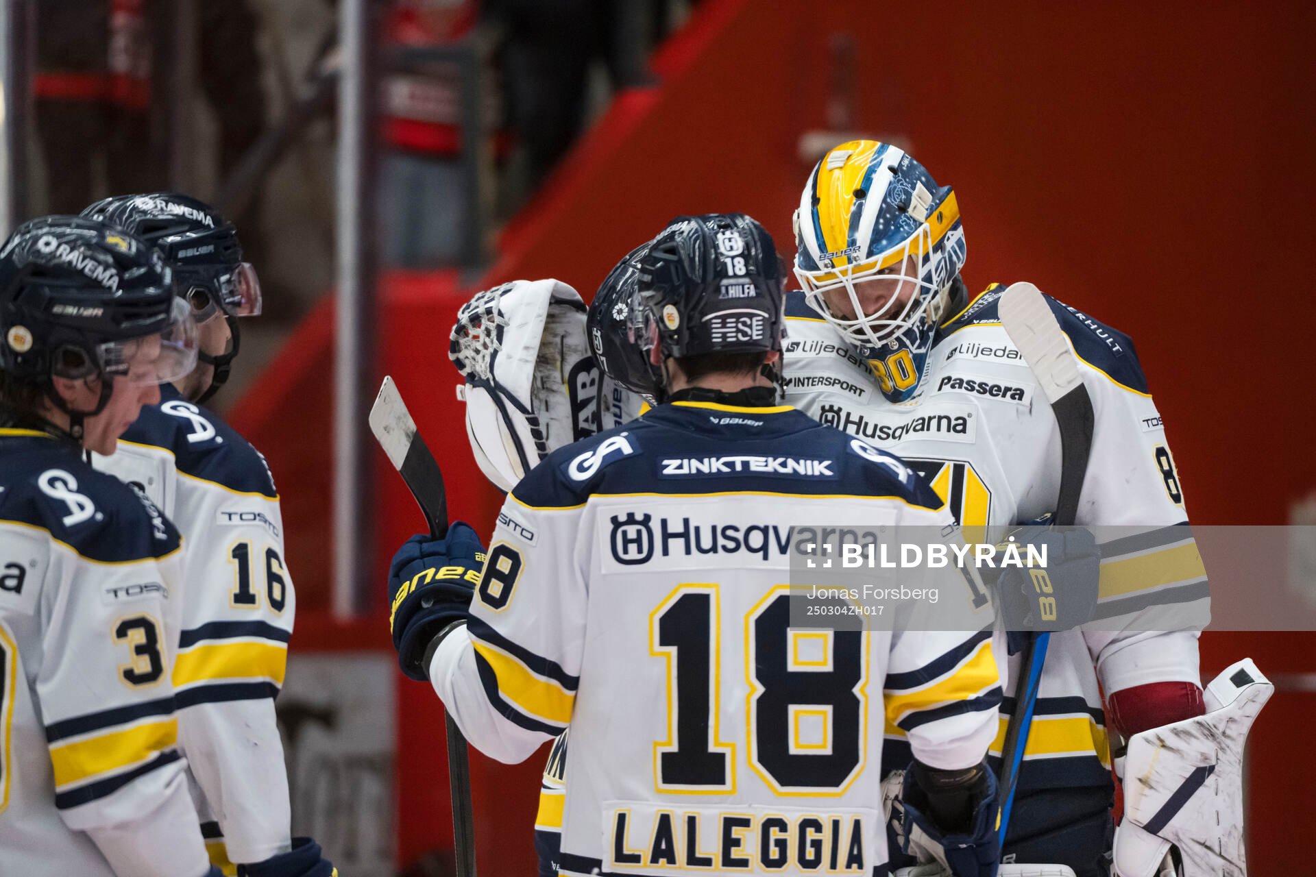 HV71s målvakt Frederik Dichow jublar